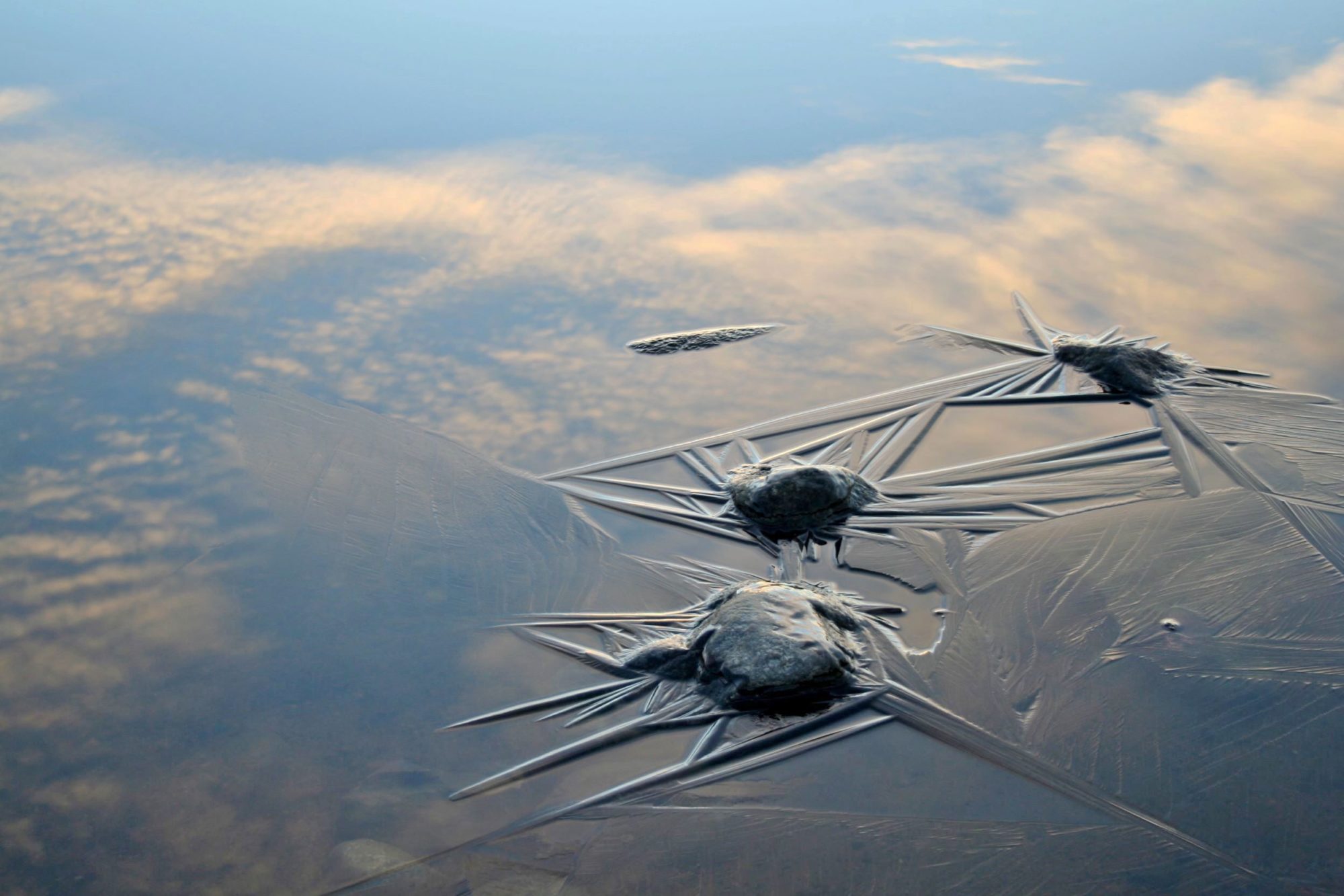 Valokuvaaja: Pirkko Siukonen