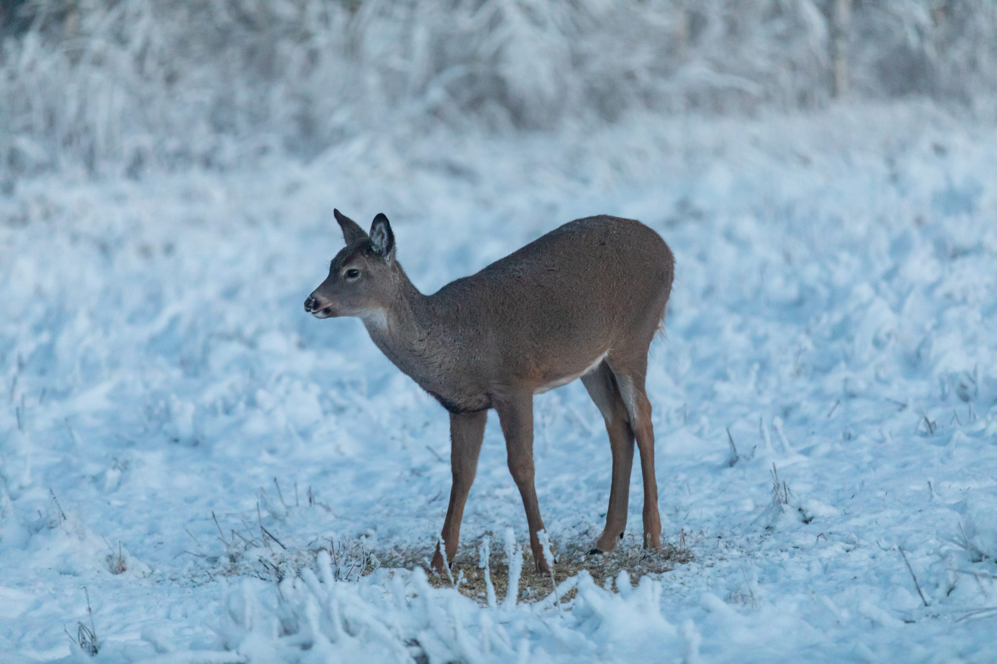 Valokuvaaja: Antero Ohranen