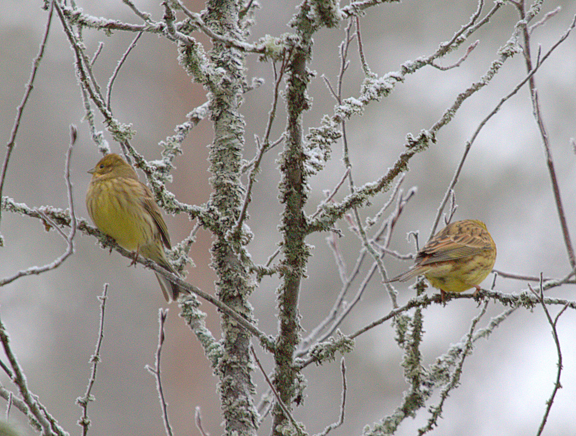 Valokuvaaja: Sirpa Jyske