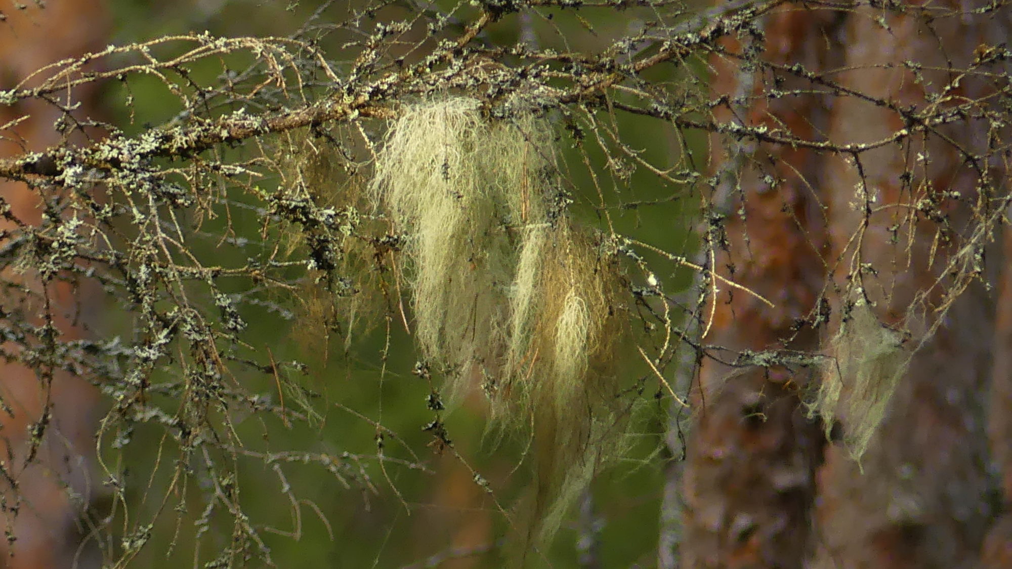 Valokuvaaja: Martti Valtonen Valokuvaaja: Martti Valtonen