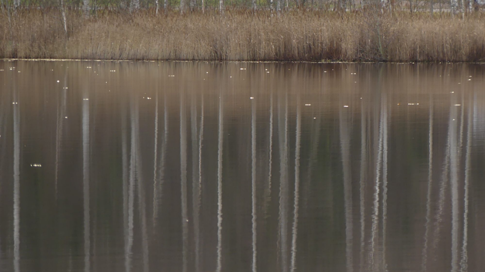 Valokuvaaja: Martti Valtonen