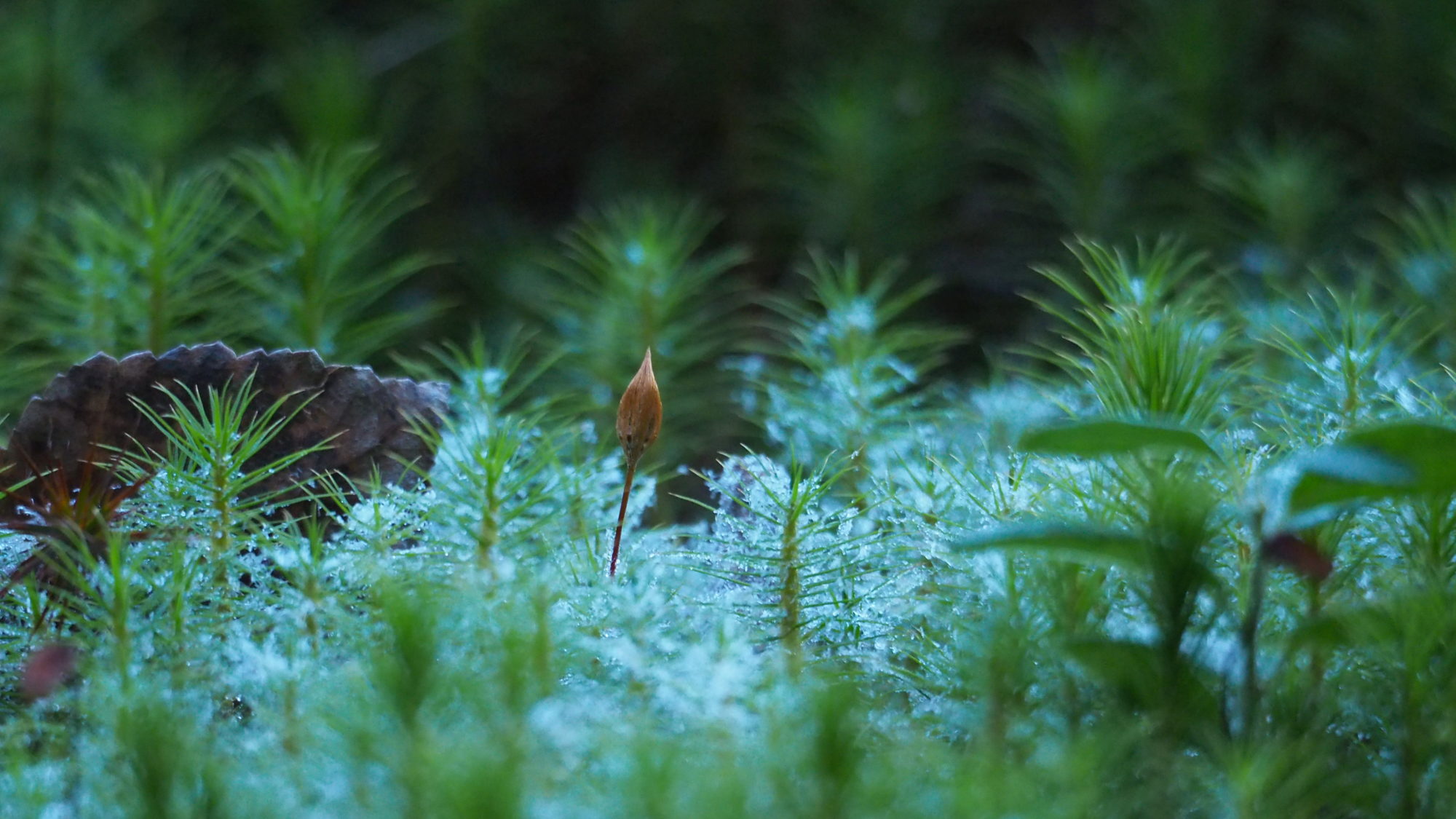 Valokuvaaja: Arja Valtonen