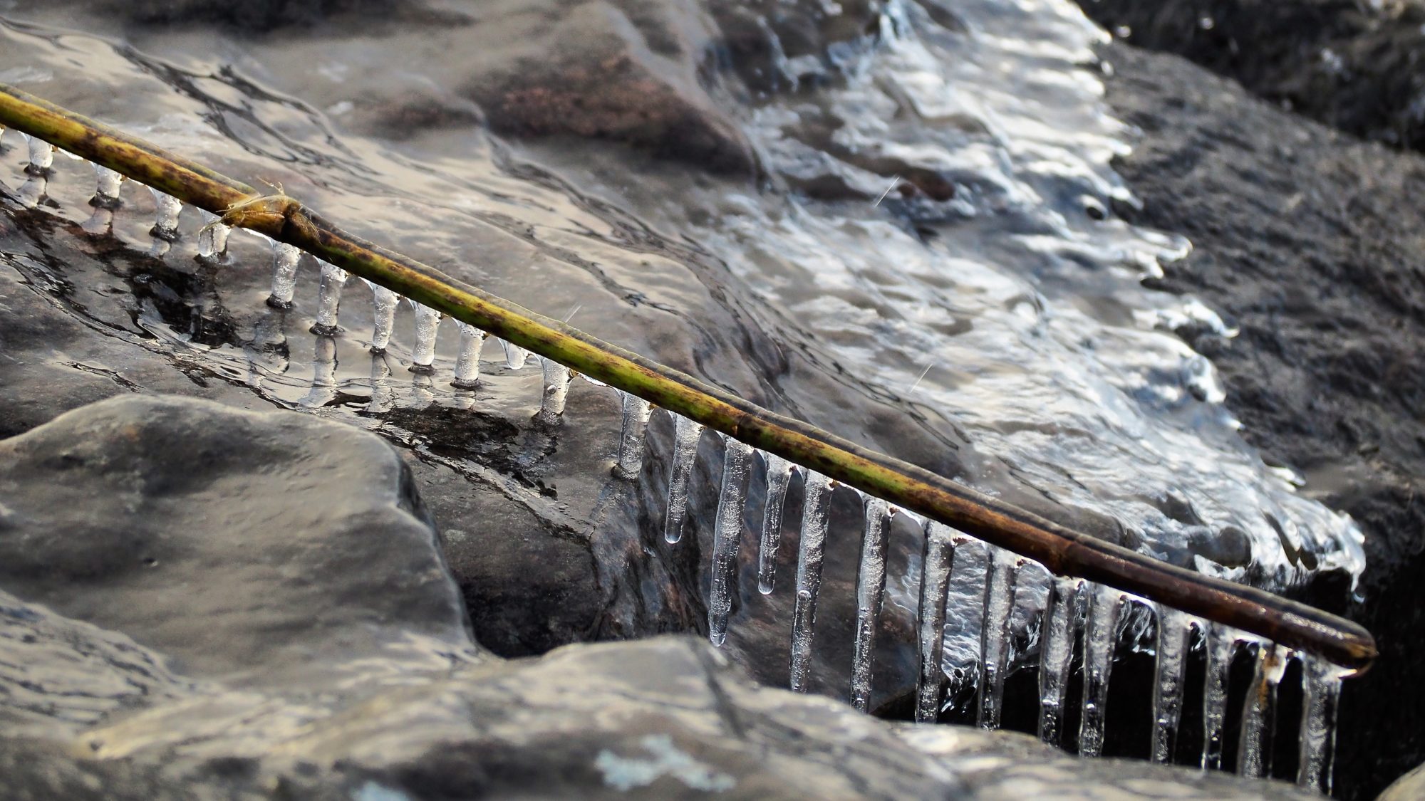 Valokuvaaja: Arja Valtonen