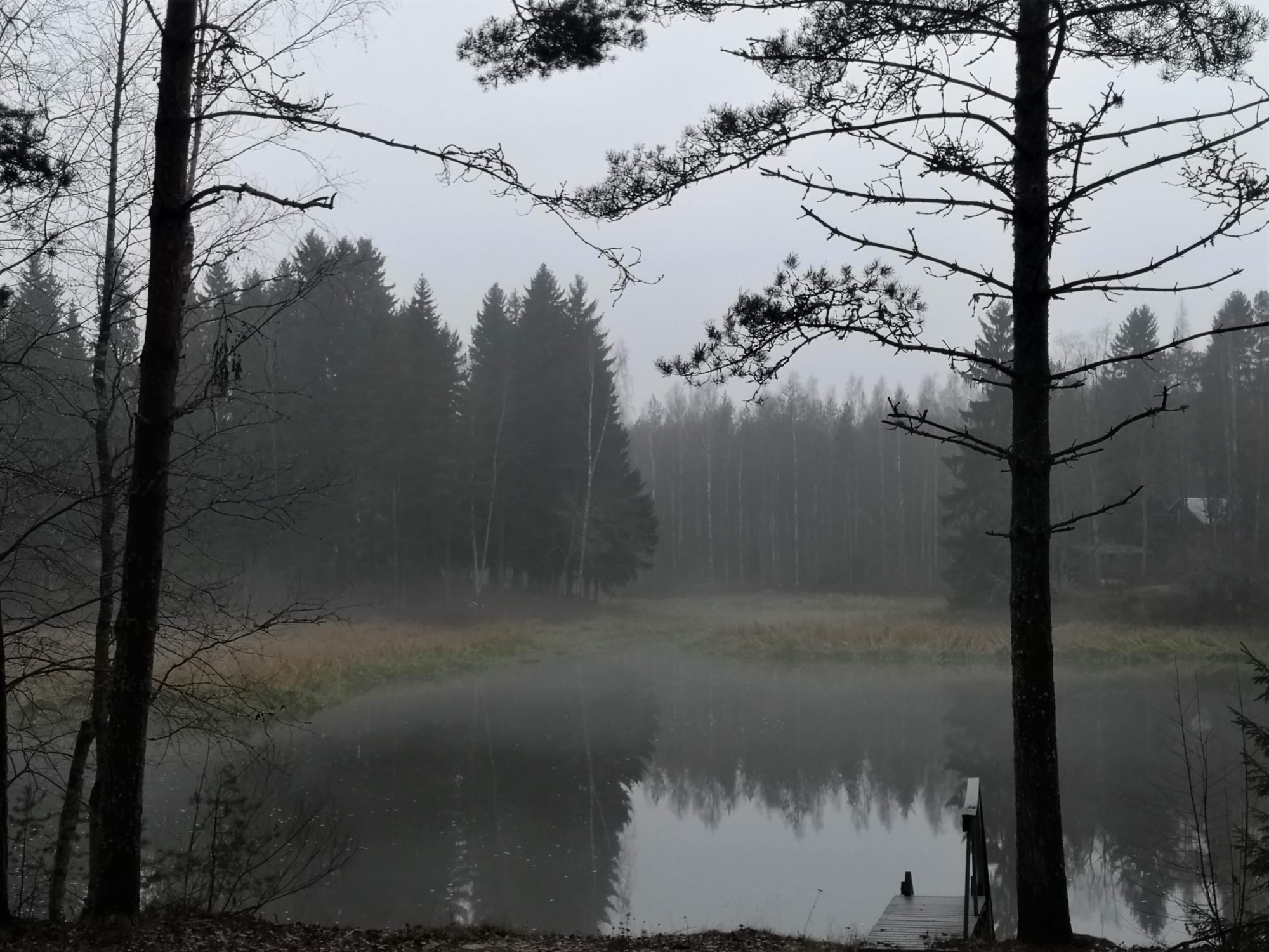 Valokuvaaja: Päivi Punta