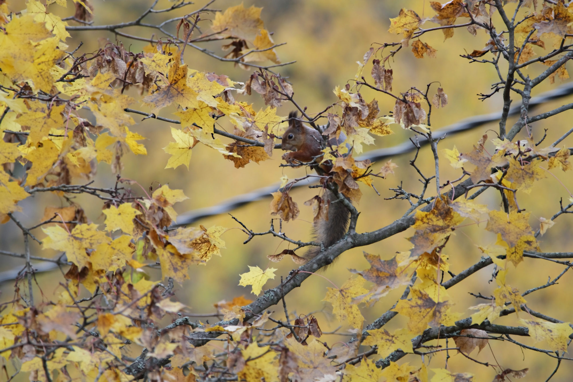 Valokuvaaja: Päivi Punta