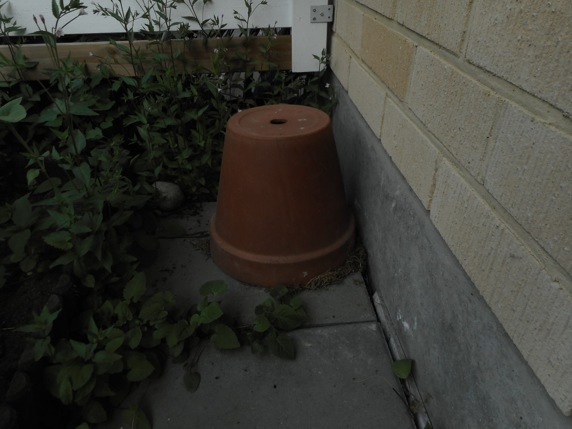 Valokuvaaja: Kimmo Kianto