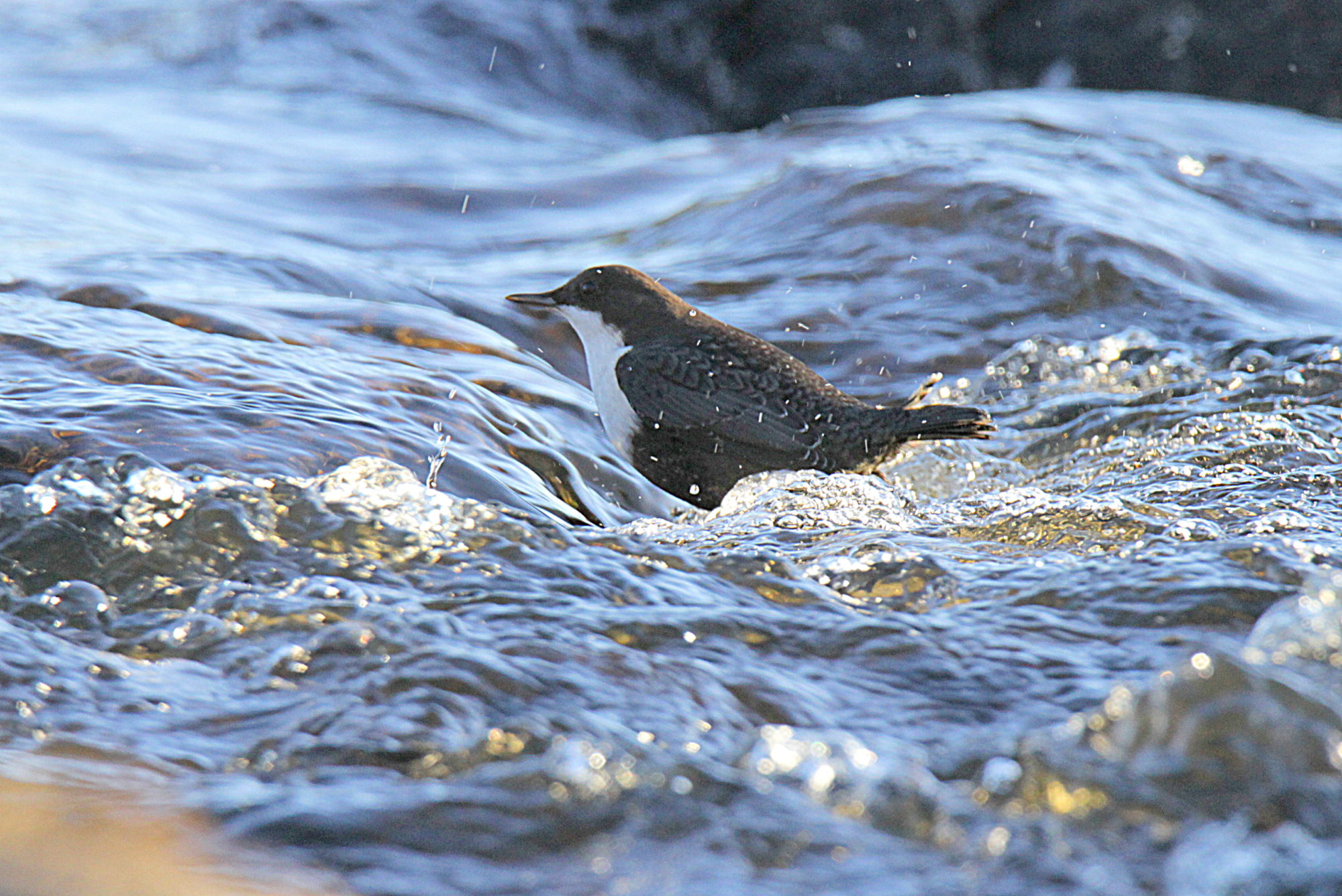Valokuvaaja: sirpa Jyske
