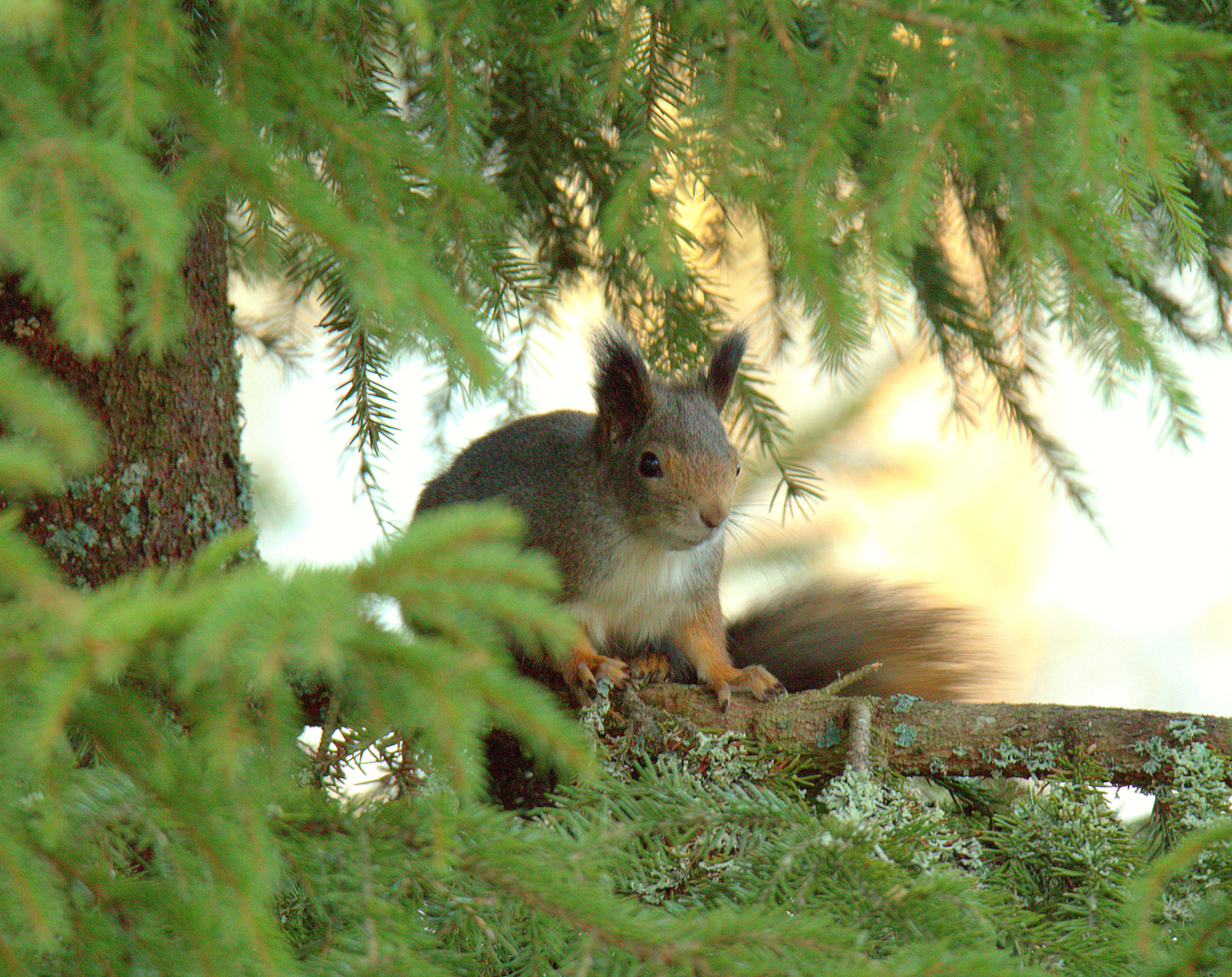Valokuvaaja: sirpa Jyske
