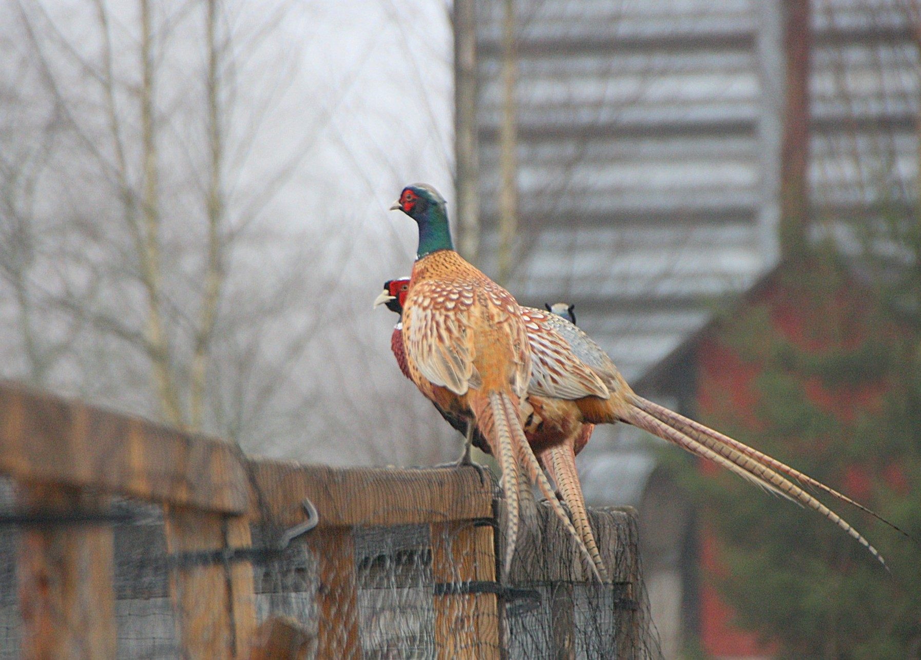 Valokuvaaja: sirpa Jyske