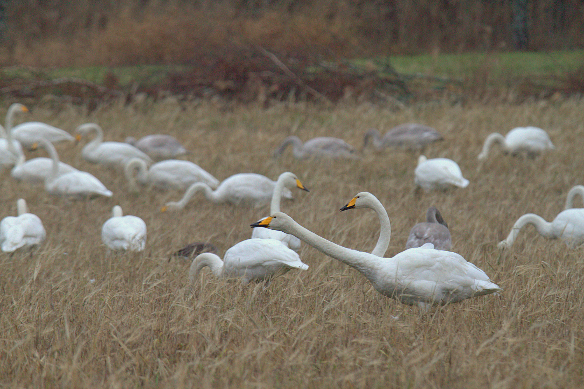 Valokuvaaja: sirpa Jyske