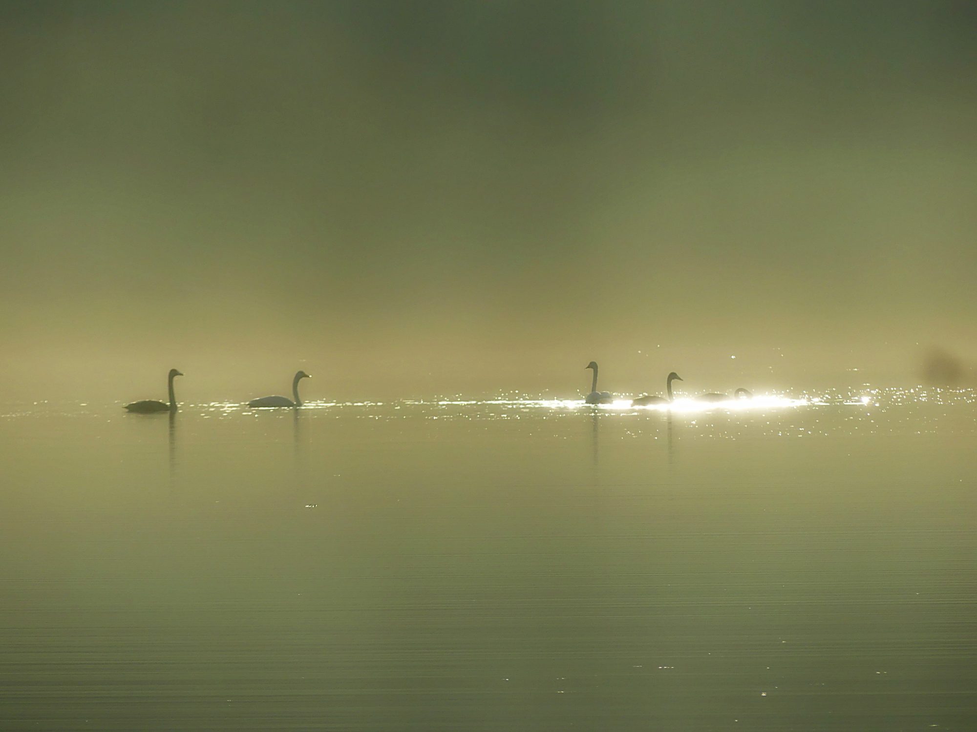 Valokuvaaja: Noora Miettinen