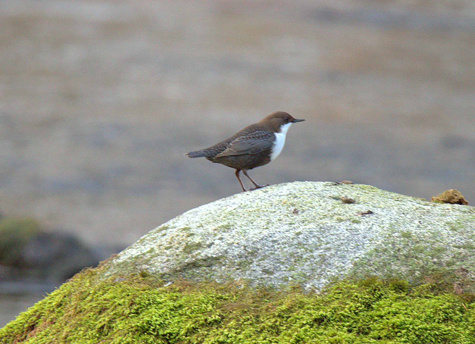 Valokuvaaja: sirpa Jyske