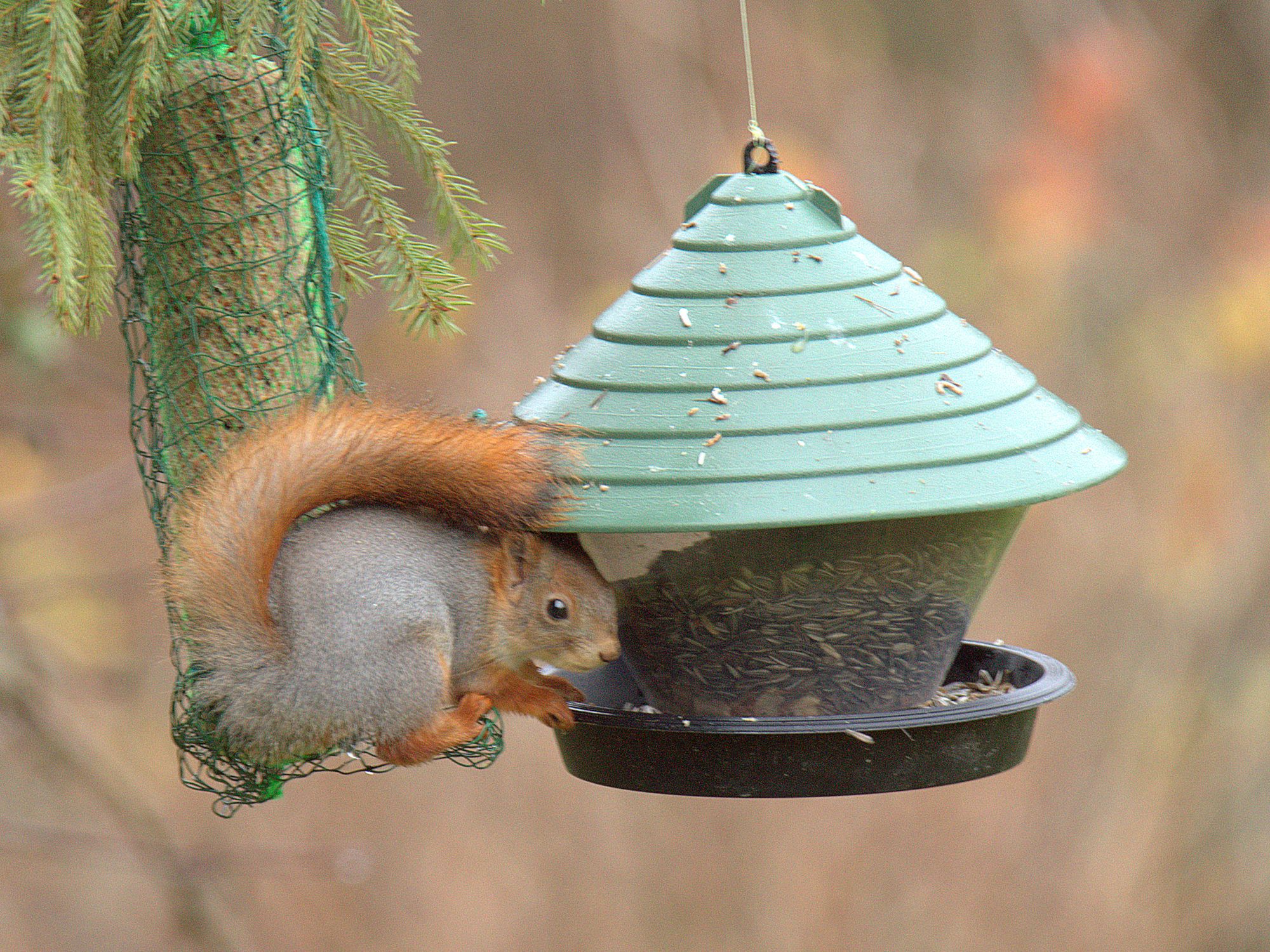 Valokuvaaja: sirpa Jyske