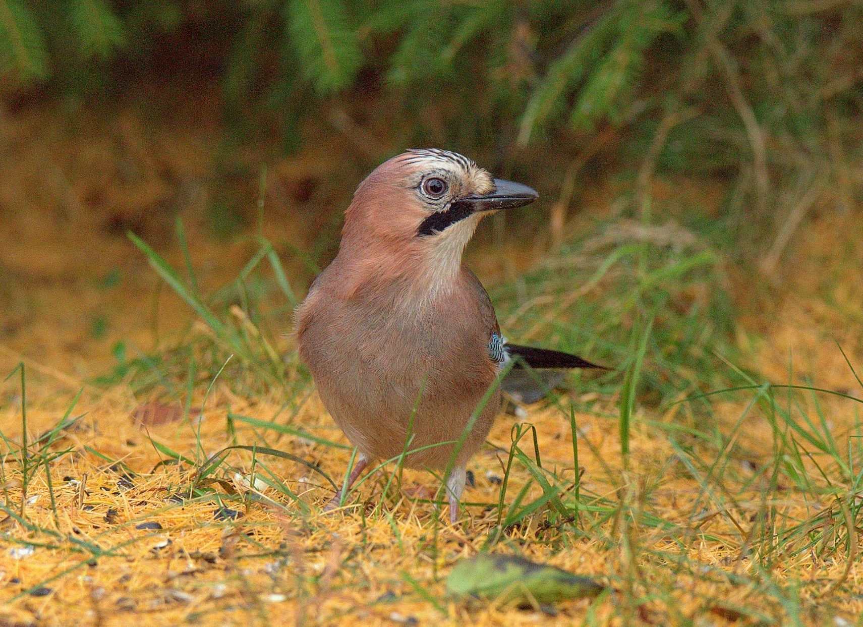Valokuvaaja: sirpa Jyske
