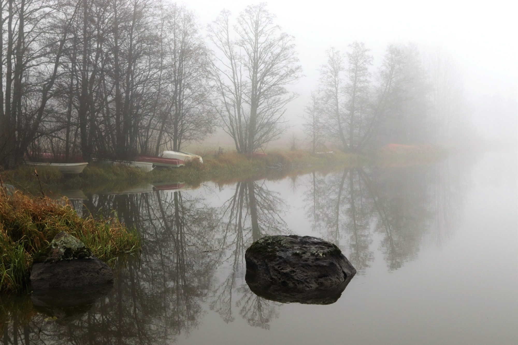 Valokuvaaja: Irja Lehtinen