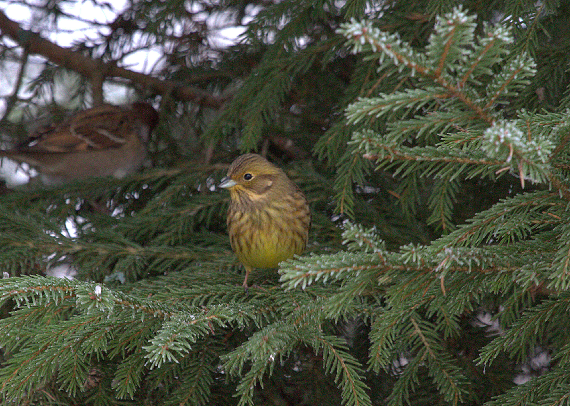 Valokuvaaja: sirpa Jyske Valokuvaaja: sirpa Jyske