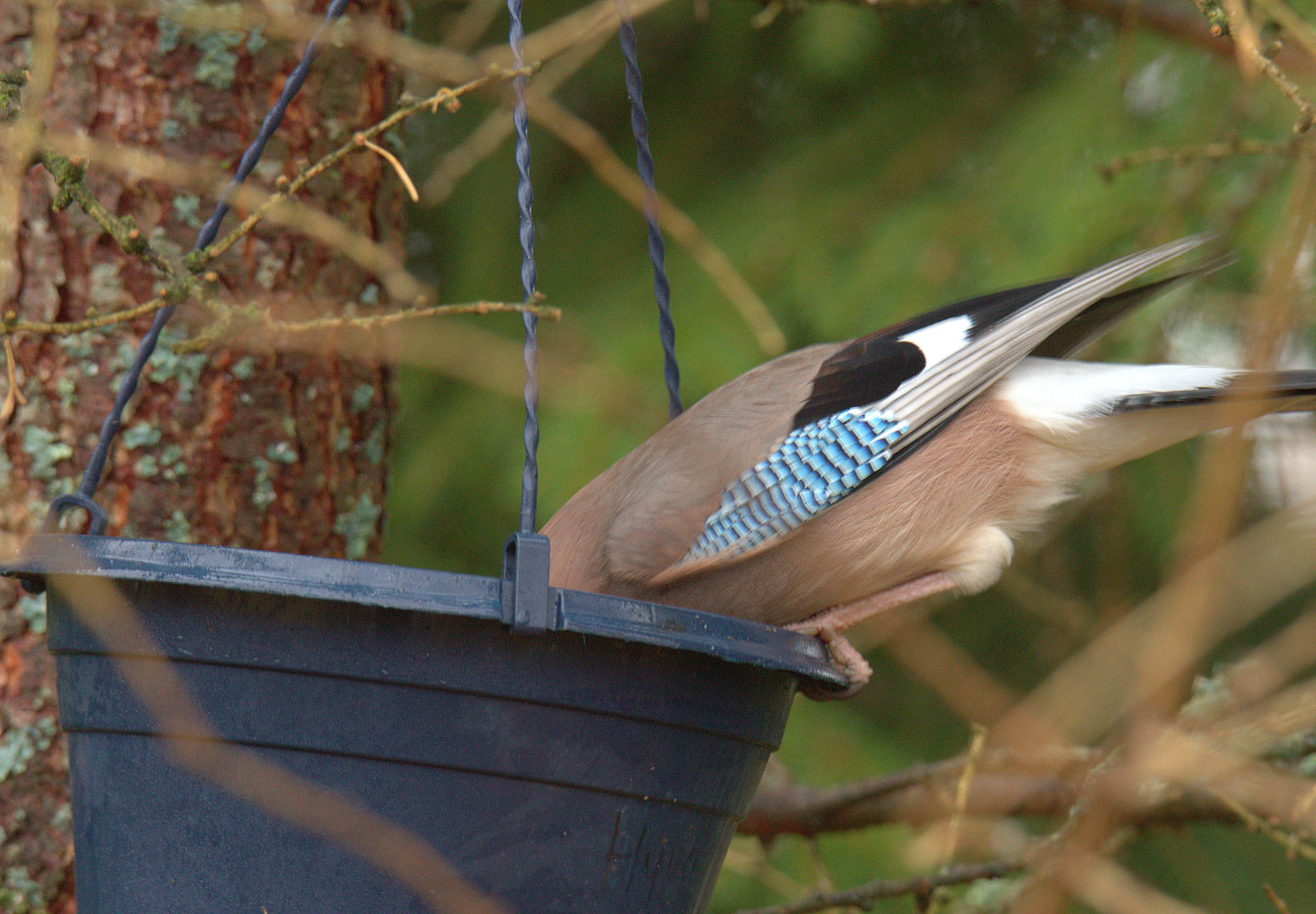Valokuvaaja: sirpa Jyske