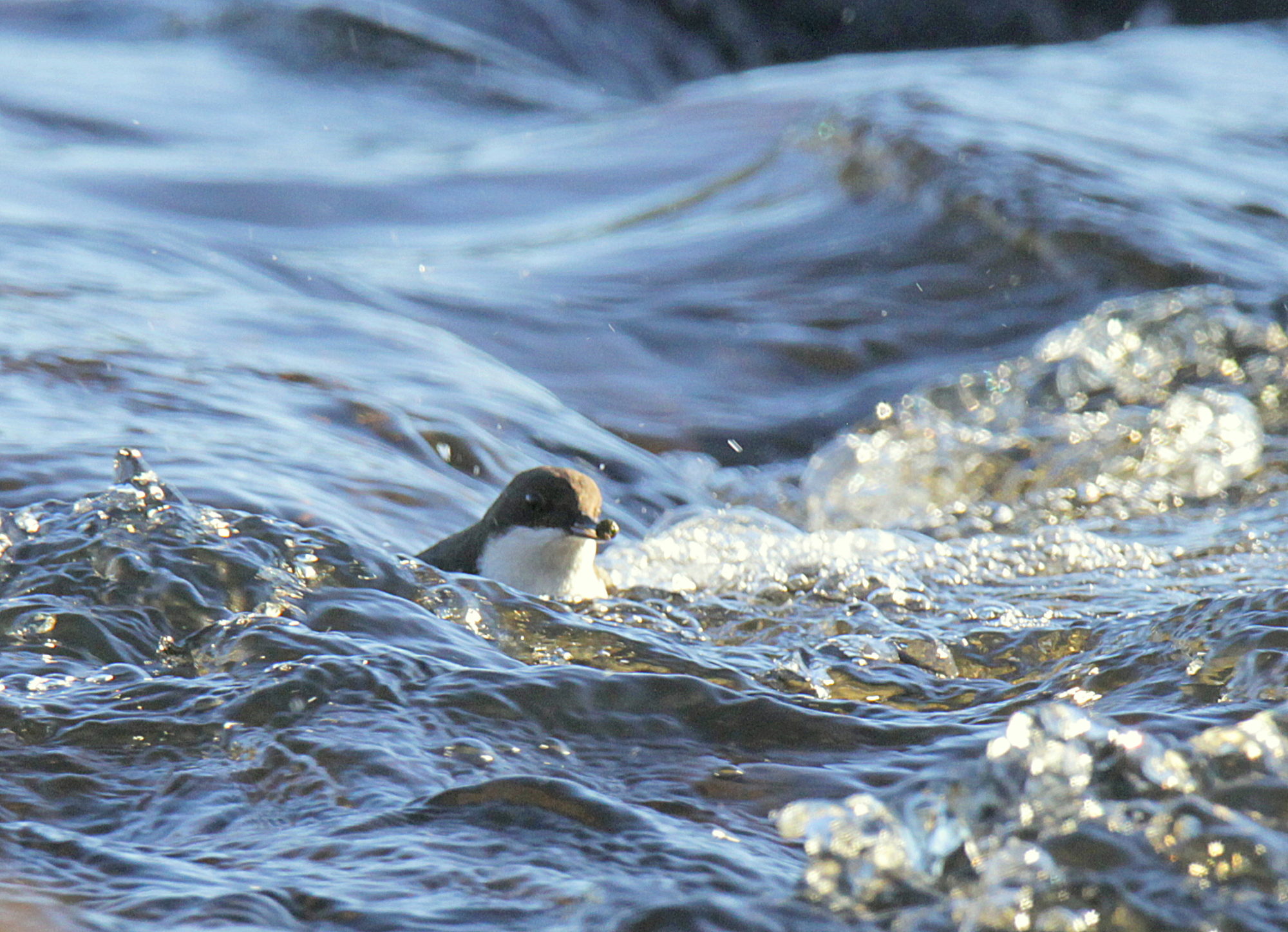 Valokuvaaja: Sirpa Jyske