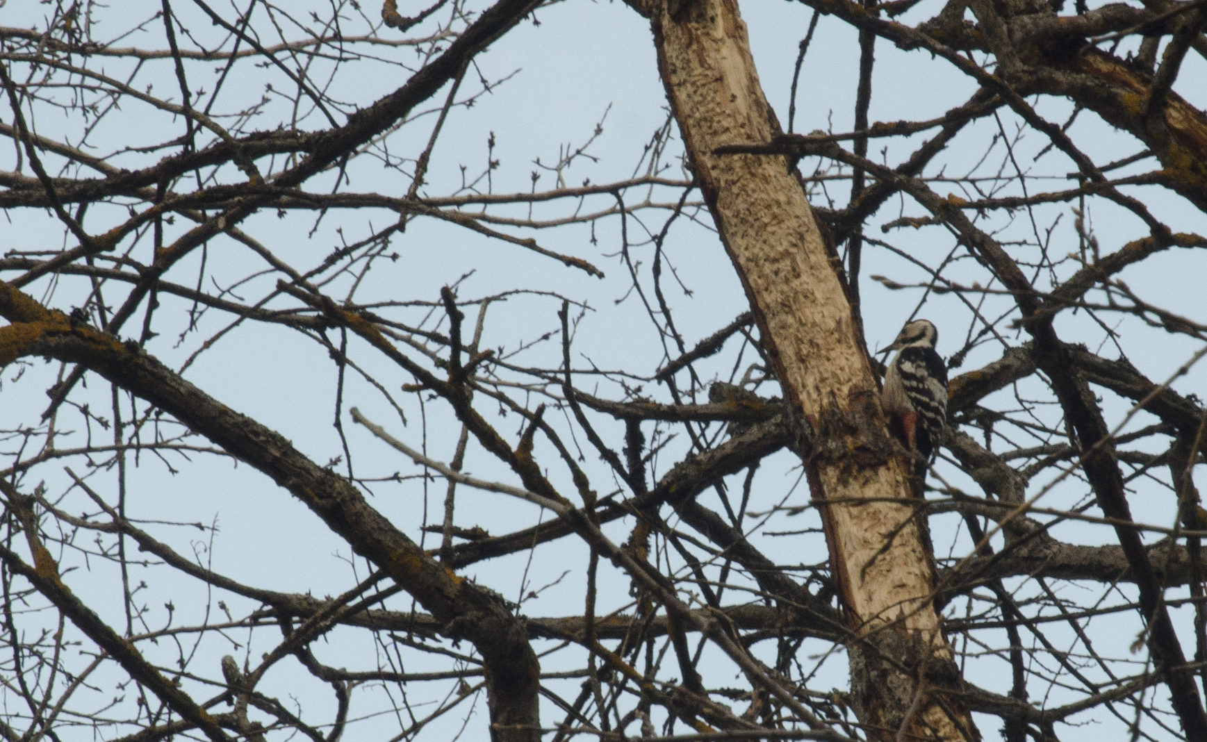 Valokuvaaja: Simo Ripatti Valokuvaaja: Simo Ripatti