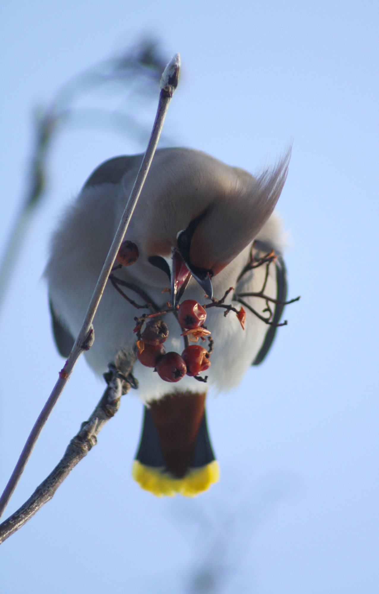 Valokuvaaja: Matias Lihr