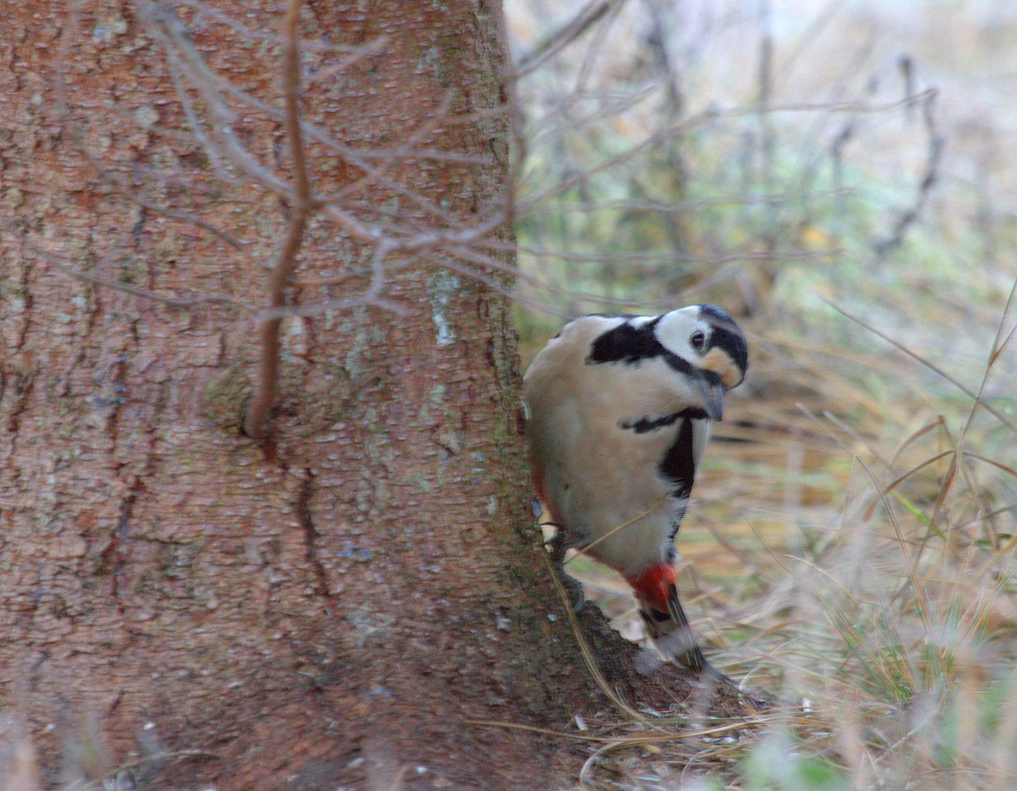 Valokuvaaja: sirpa Jyske