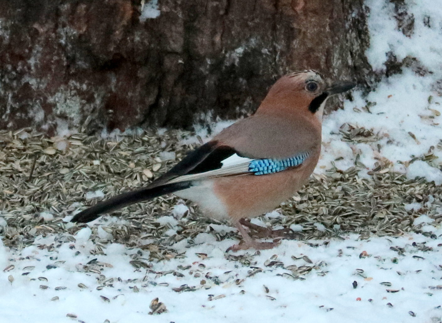 Valokuvaaja: Liisa Kiljunen