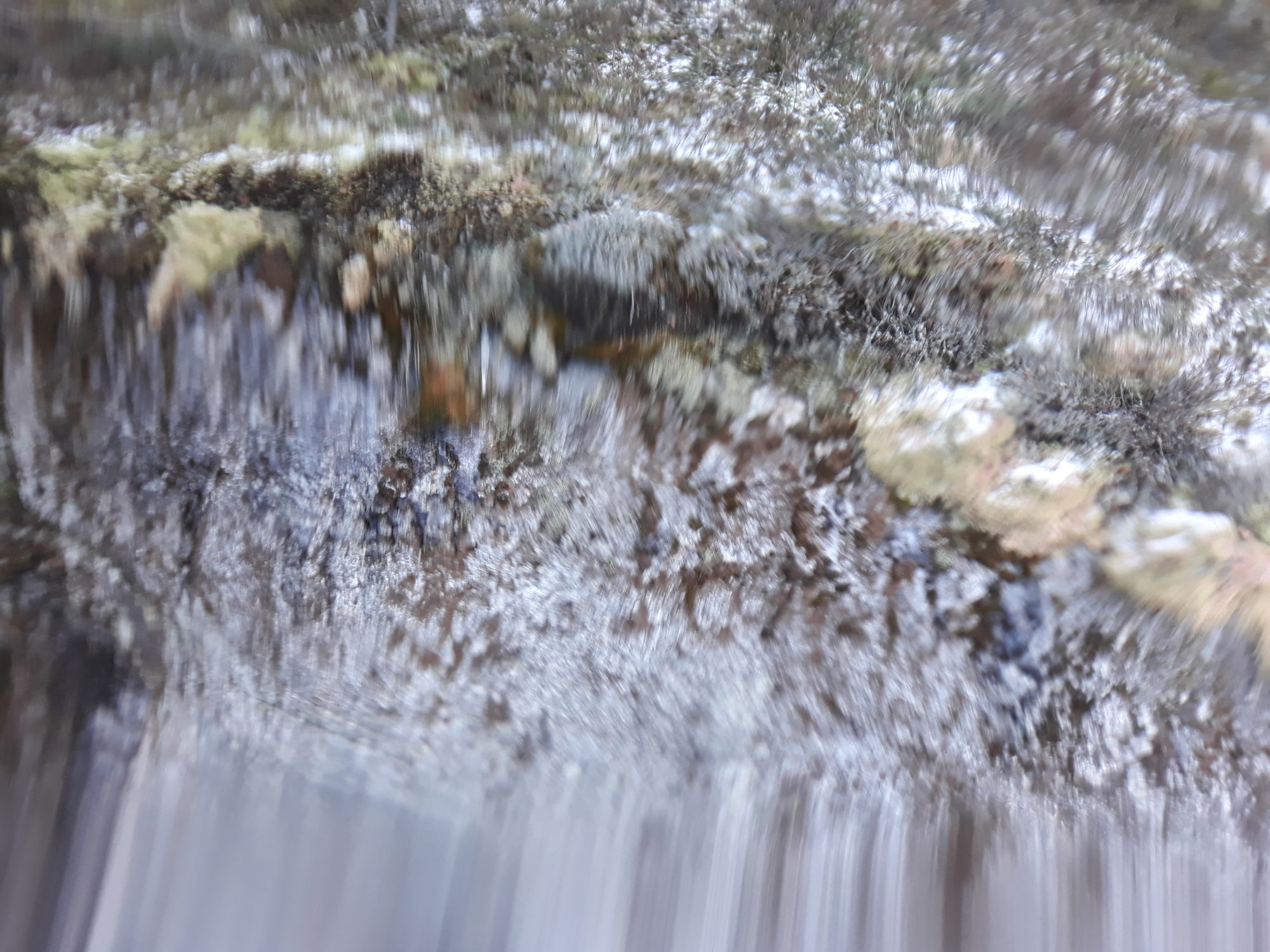 Valokuvaaja: Lasse Kokko