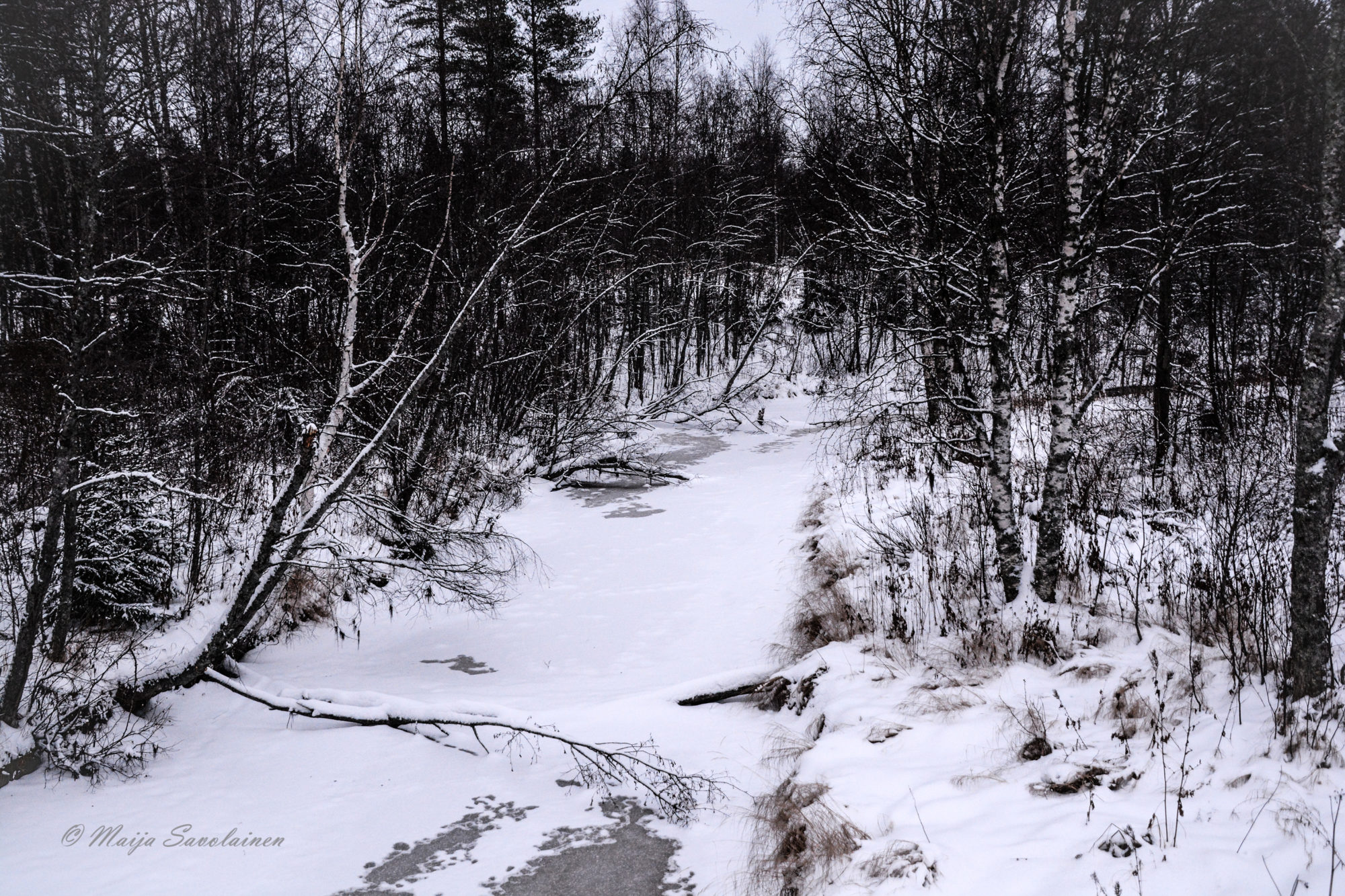 Valokuvaaja: Maija Savolainen