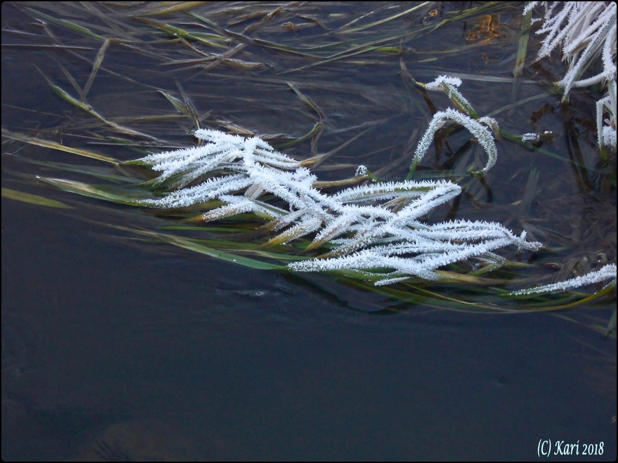 Valokuvaaja: Kari Saarinen