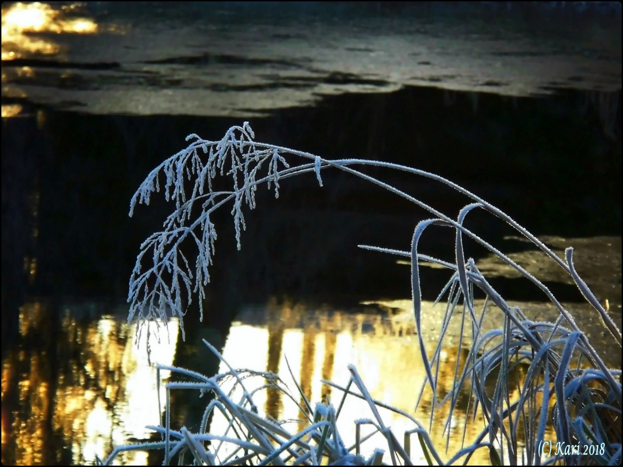 Valokuvaaja: Kari Saarinen