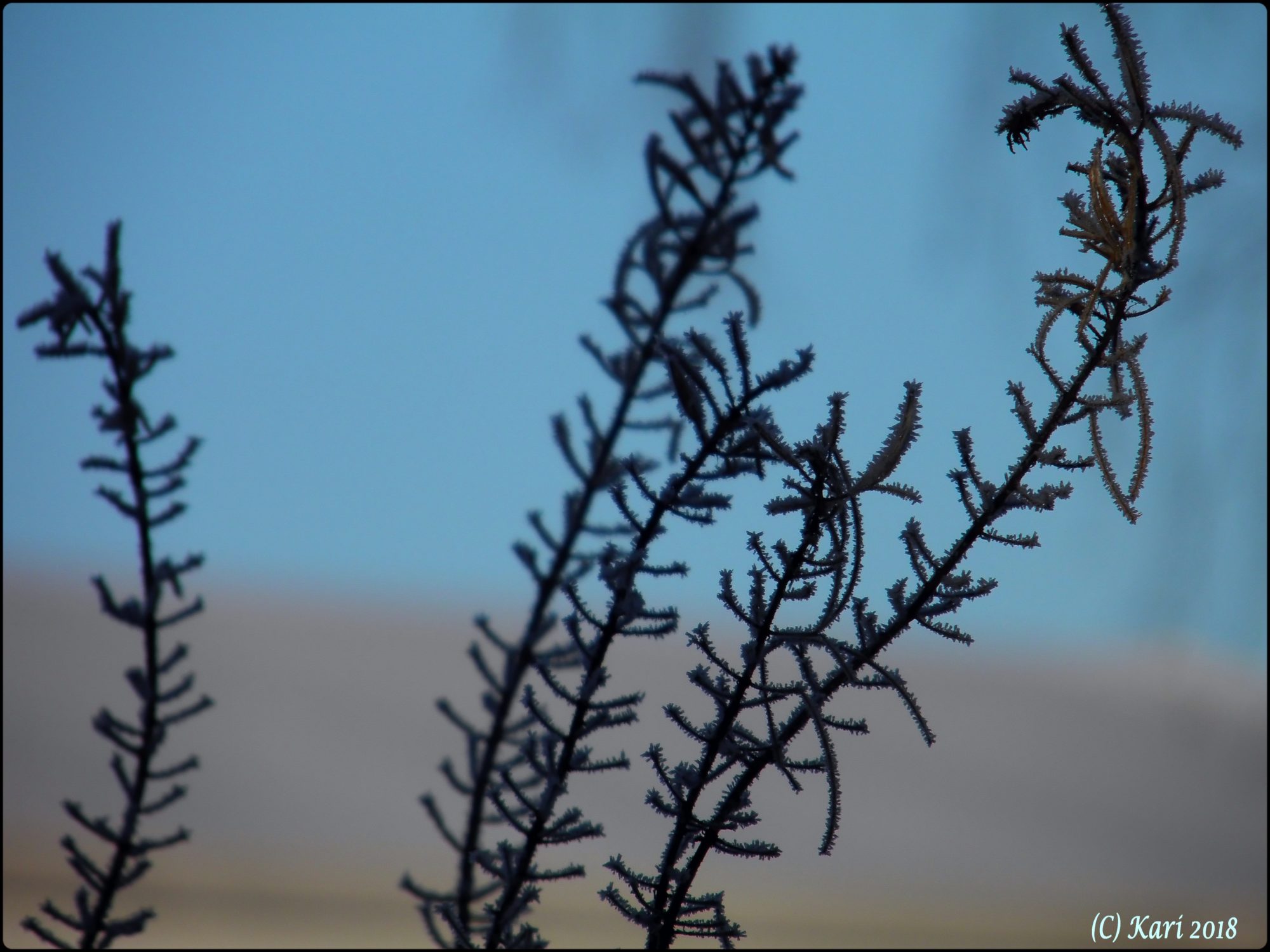 Valokuvaaja: Kari Saarinen