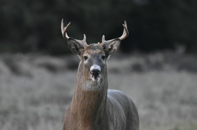 Valokuvaaja: Milja Pakkala