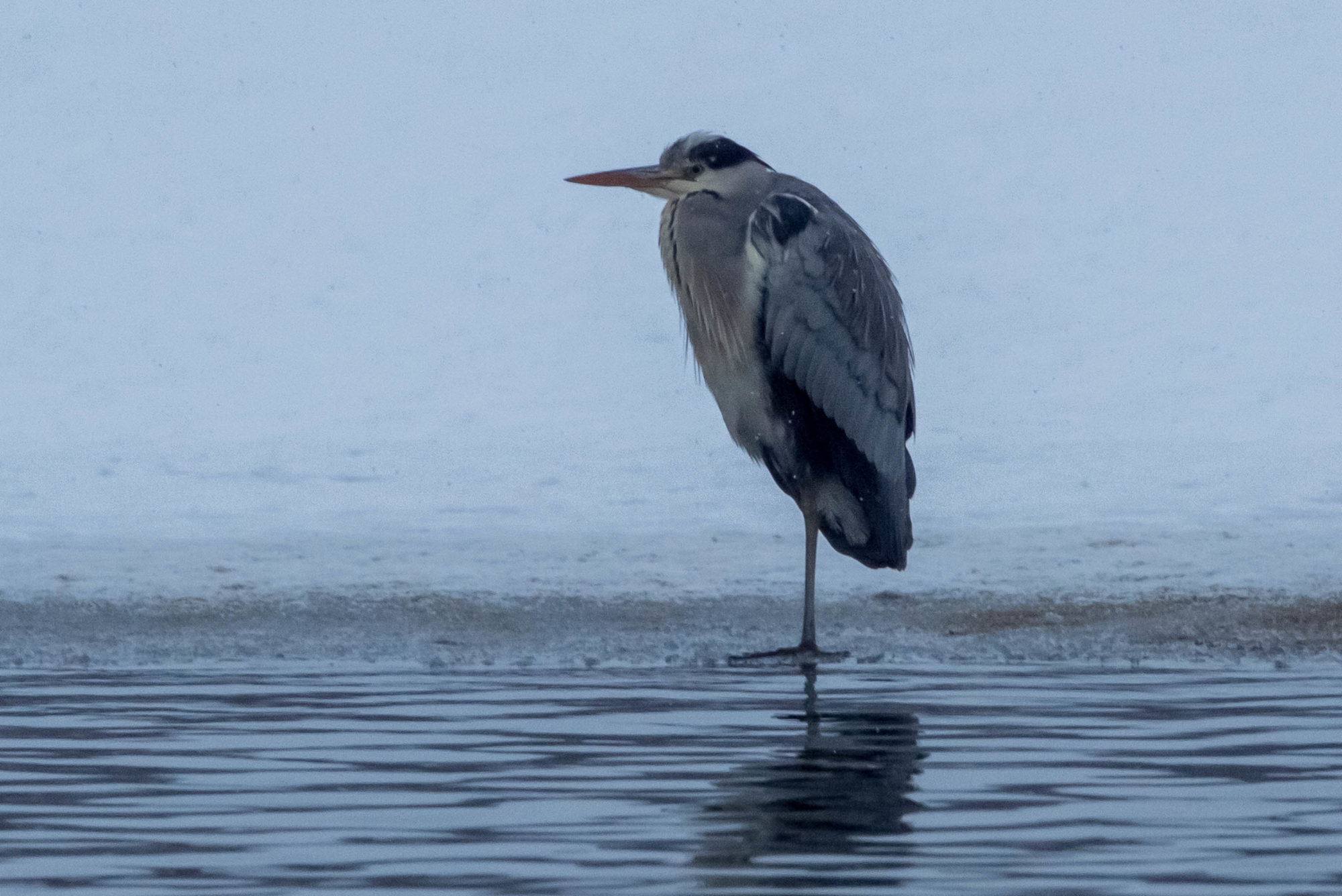 Valokuvaaja: Markku Salonen