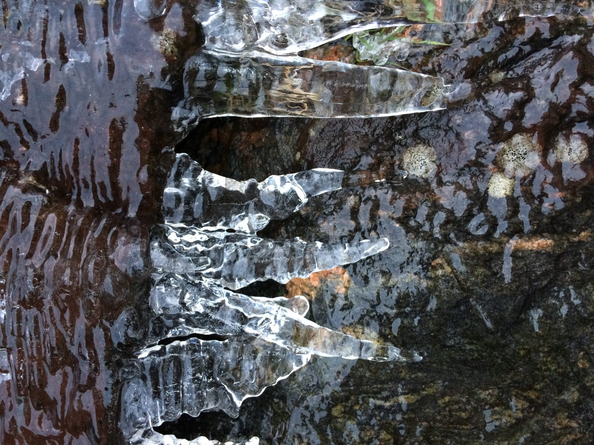 Valokuvaaja: Kristiina