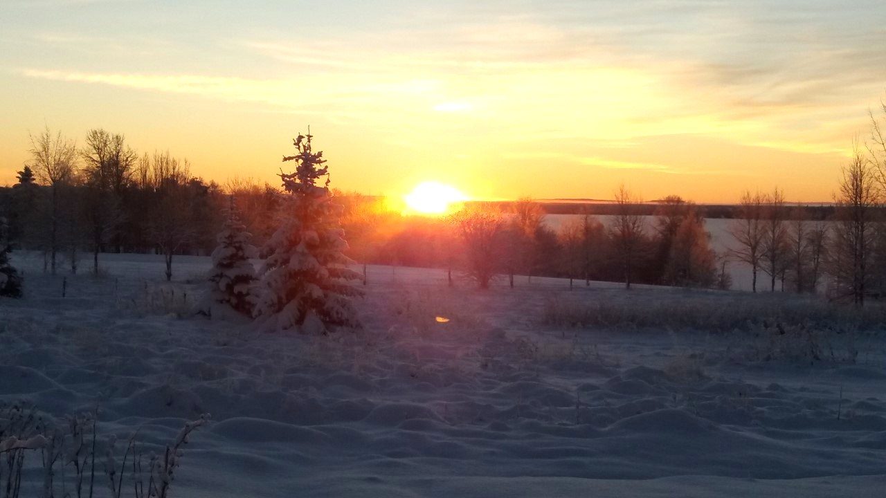 Valokuvaaja: Antti Mattanen