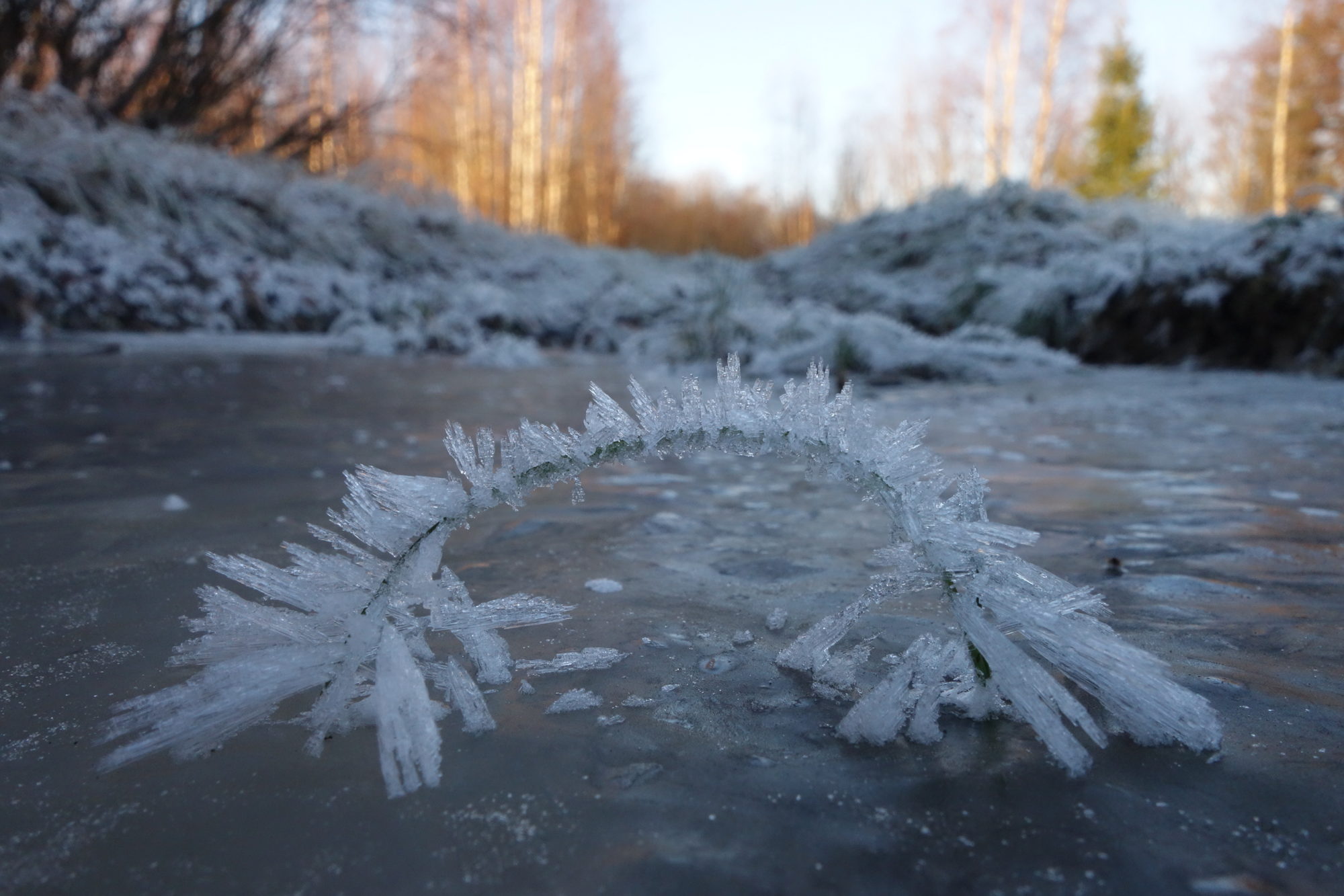 Valokuvaaja: Kaarina Heiskanen