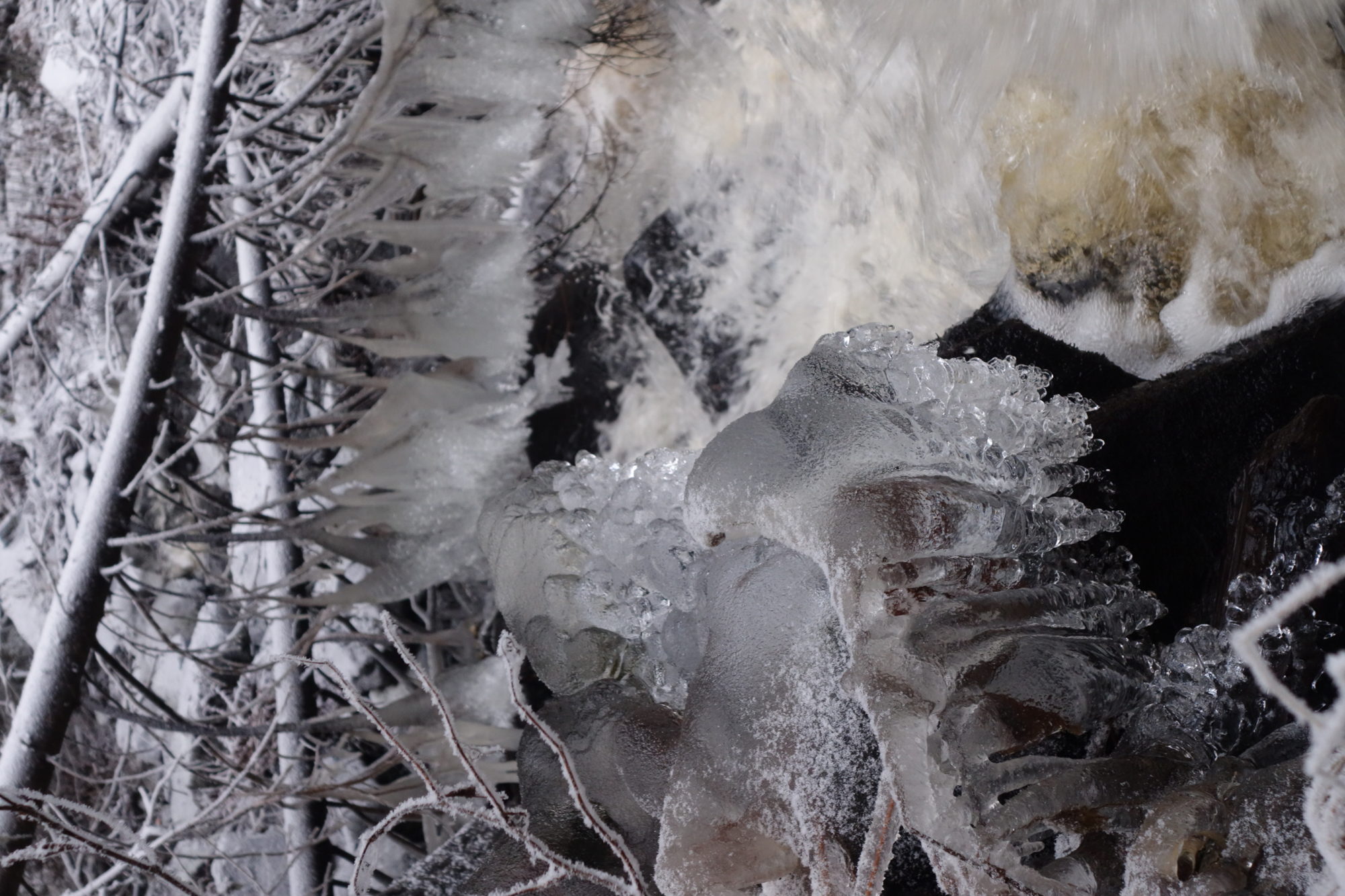 Valokuvaaja: Kaarina Heiskanen