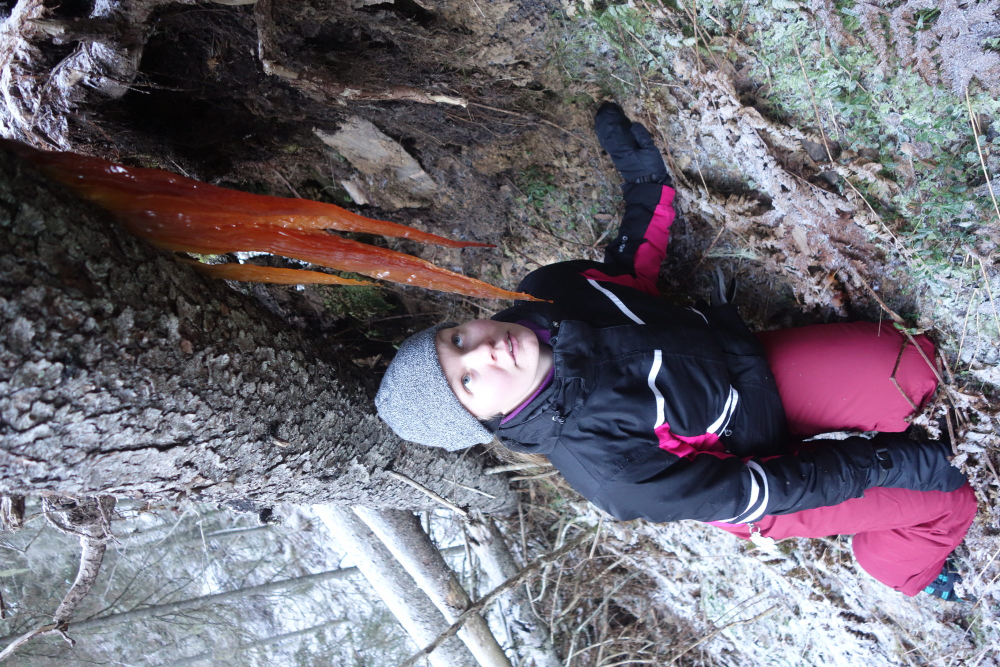 Valokuvaaja: Kaarina Heiskanen Valokuvaaja: Kaarina Heiskanen