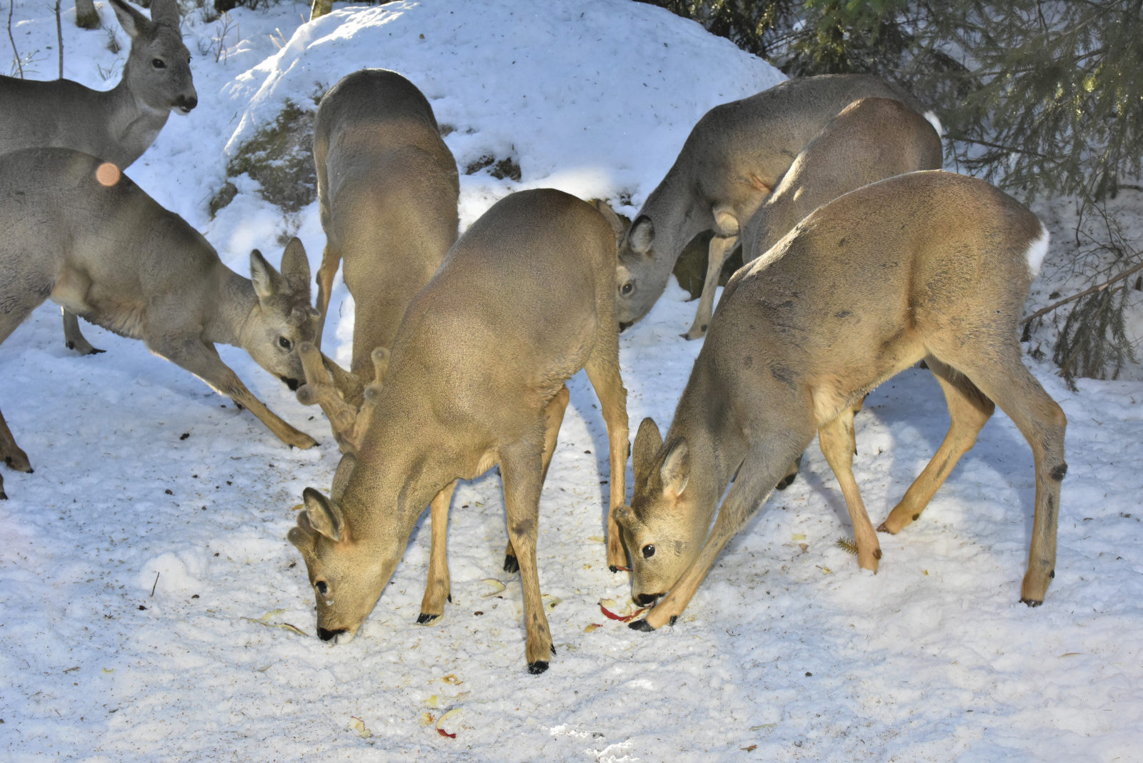 Valokuvaaja: Reijo Juurinen