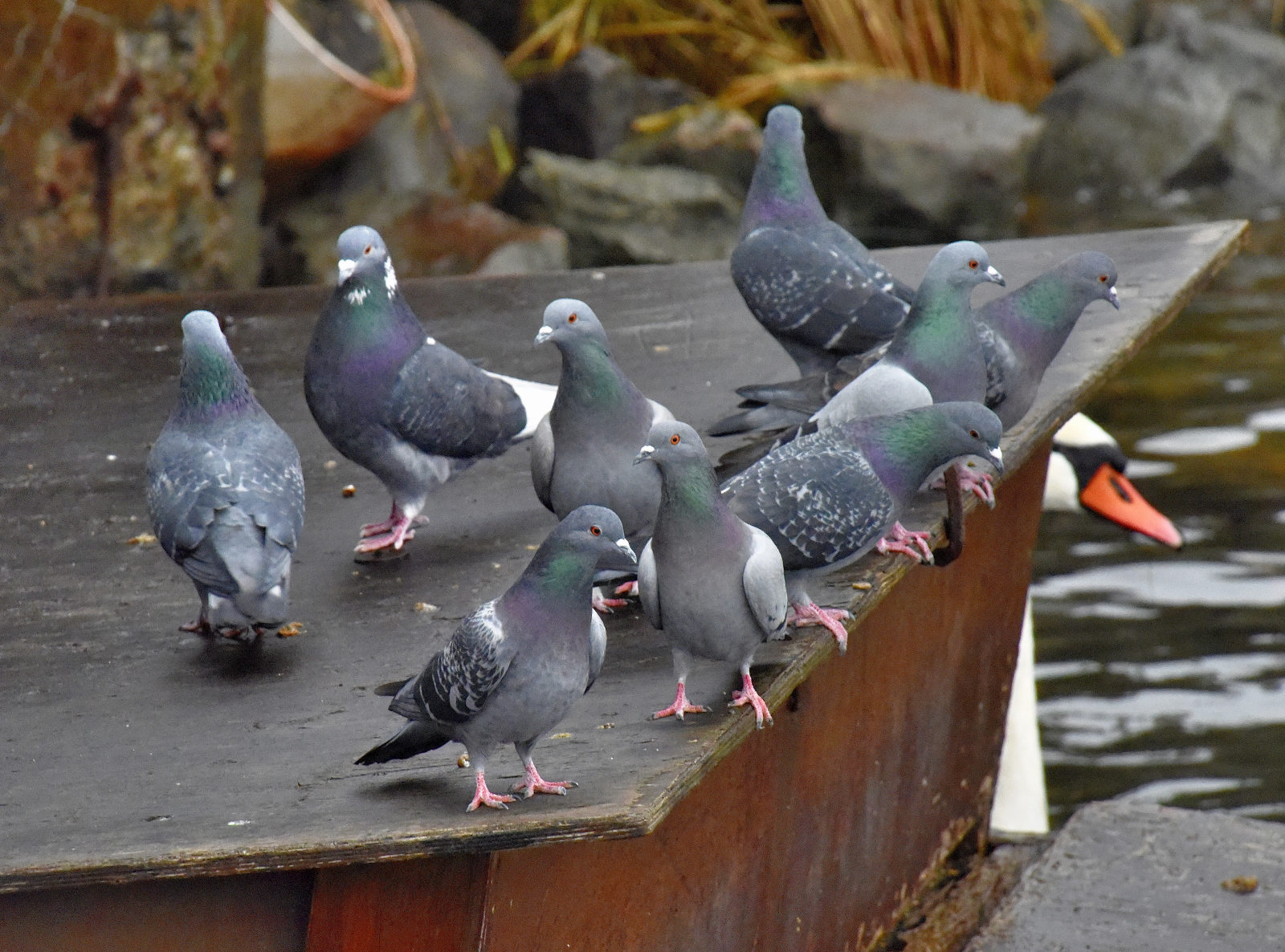 Valokuvaaja: Reijo Juurinen