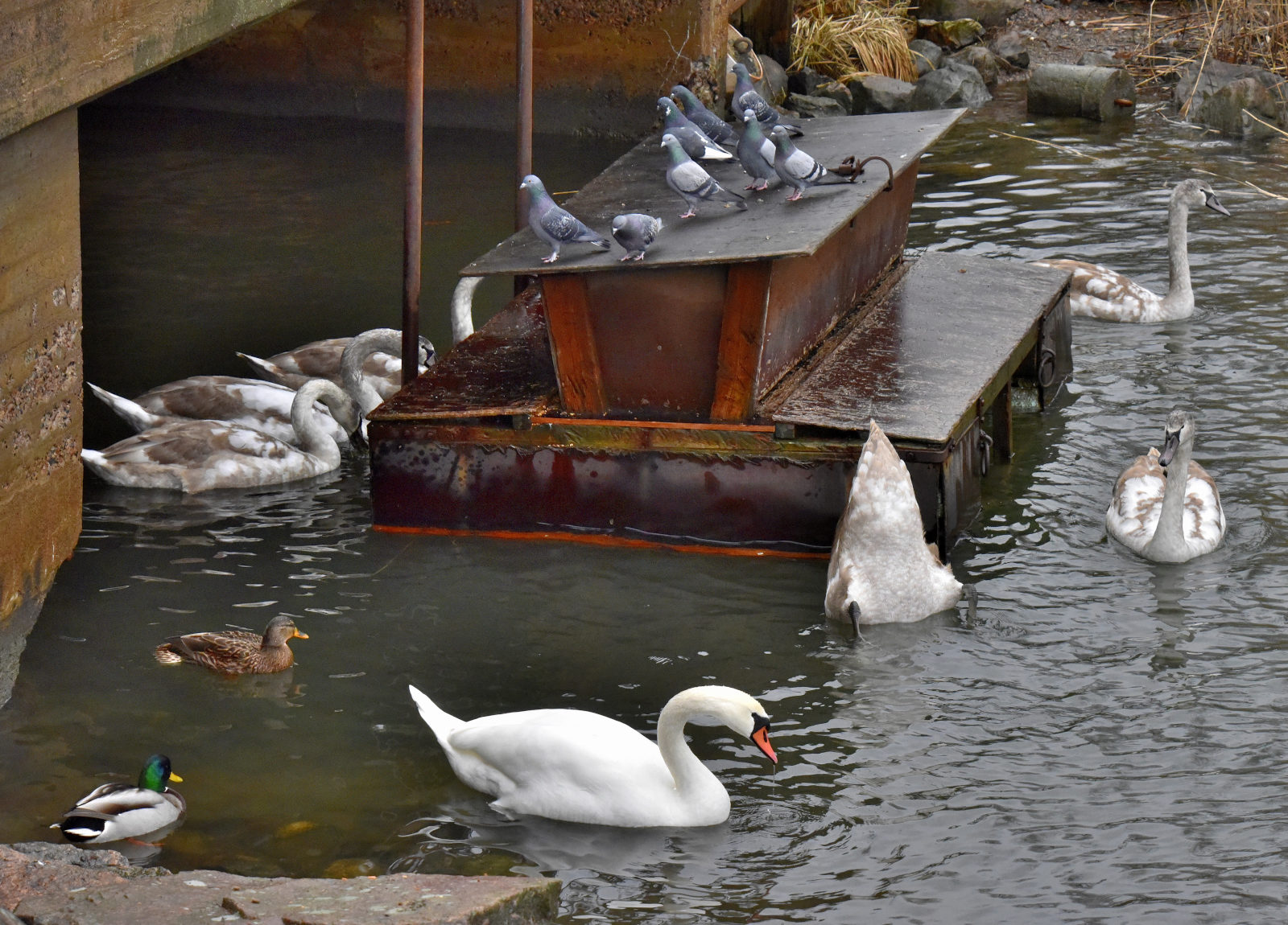 Valokuvaaja: Reijo Juurinen