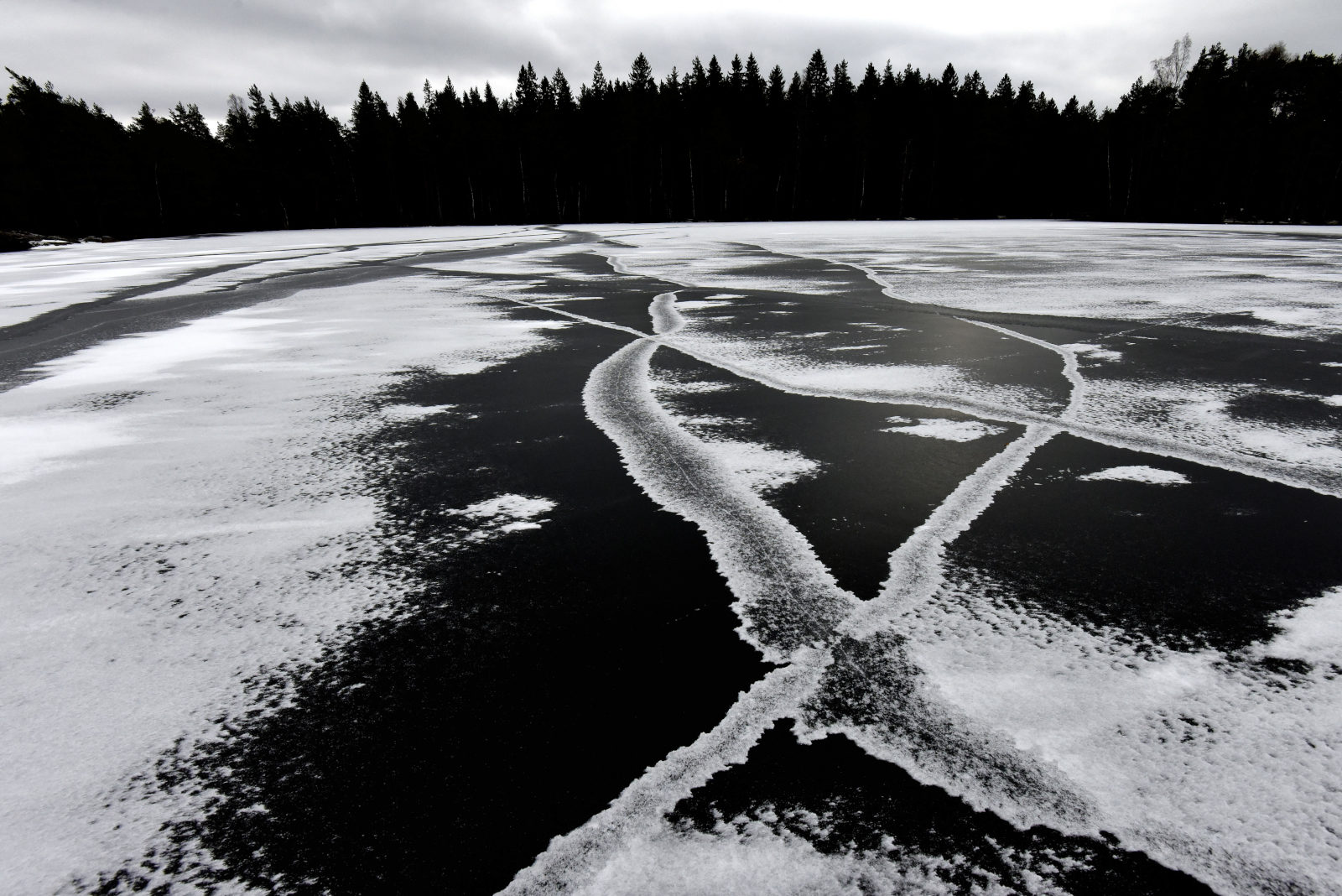 Valokuvaaja: Reijo Juurinen
