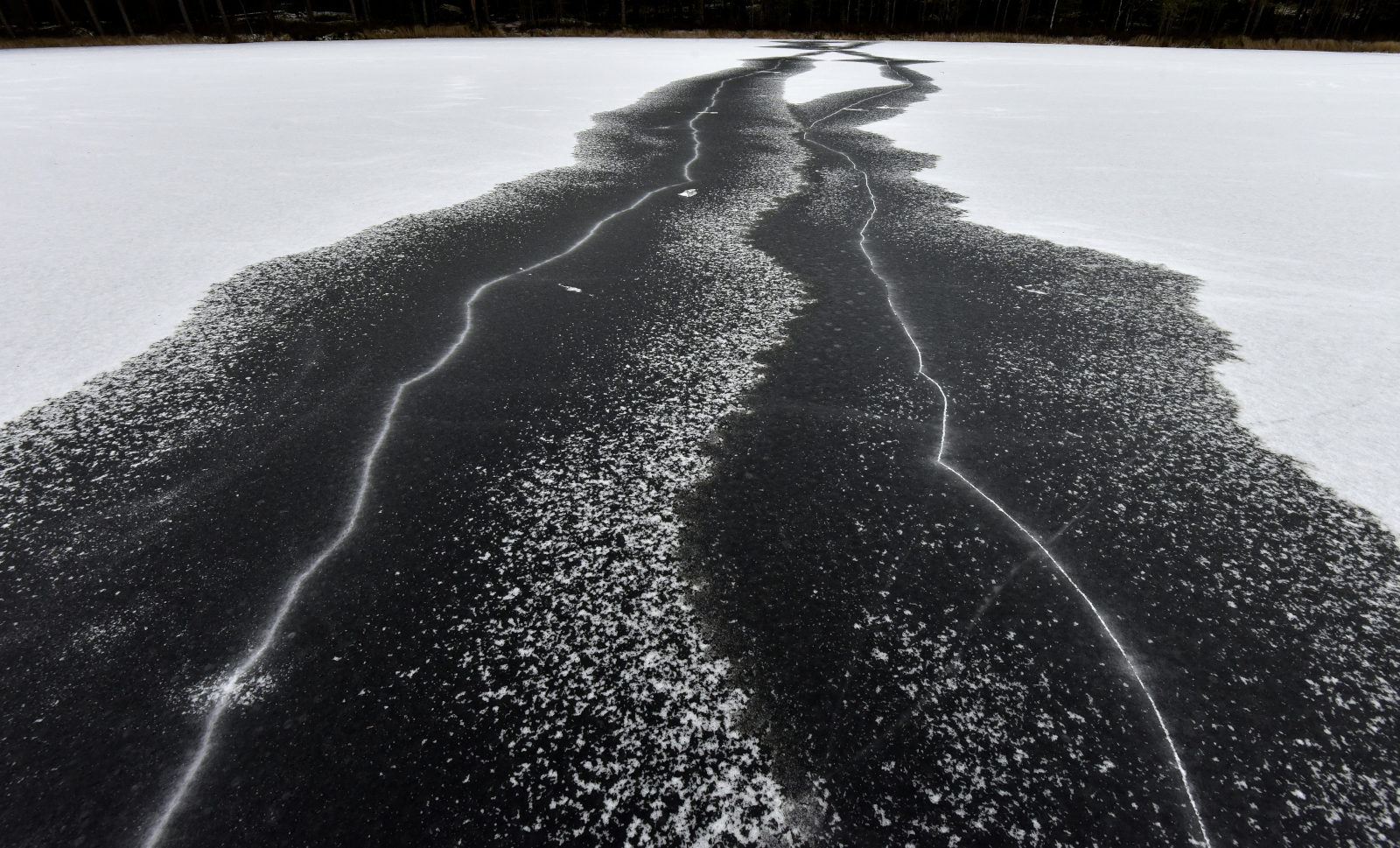 Valokuvaaja: Reijo Juurinen
