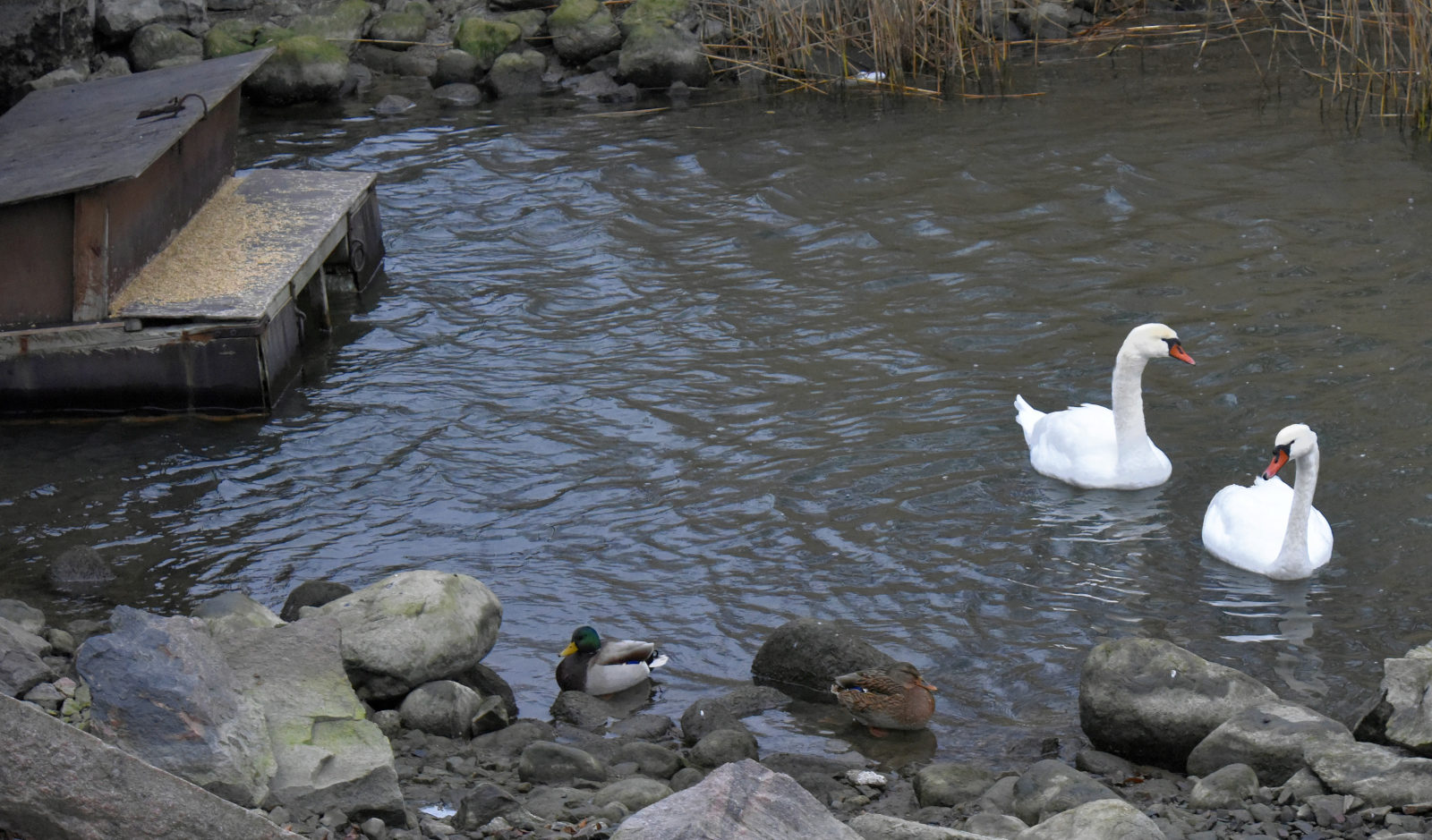 Valokuvaaja: Reijo Juurinen