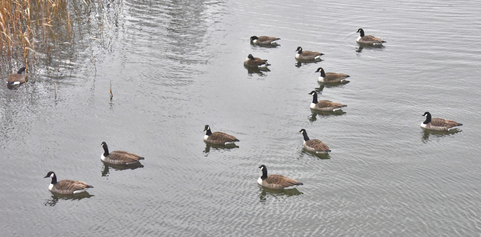 Valokuvaaja: Reijo Juurinen