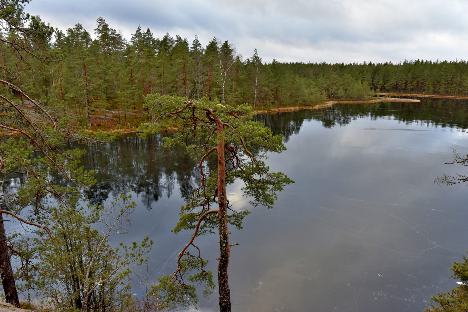Valokuvaaja: Reijo Juurinen