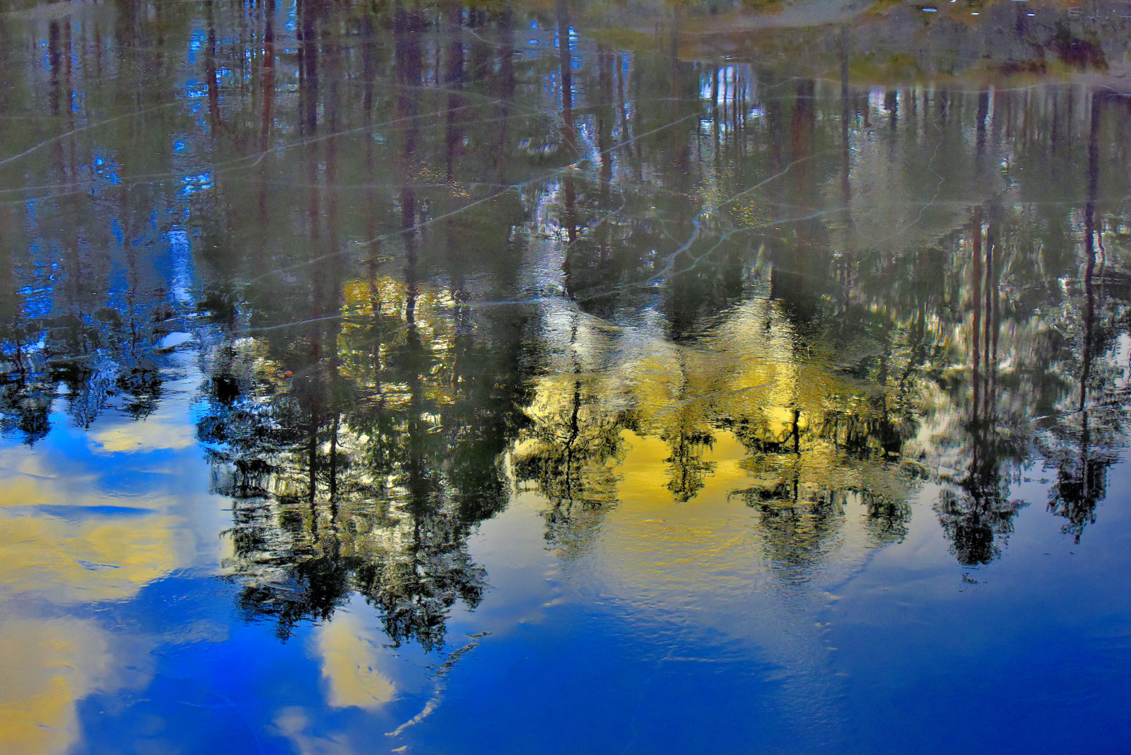 Valokuvaaja: Reijo Juurinen