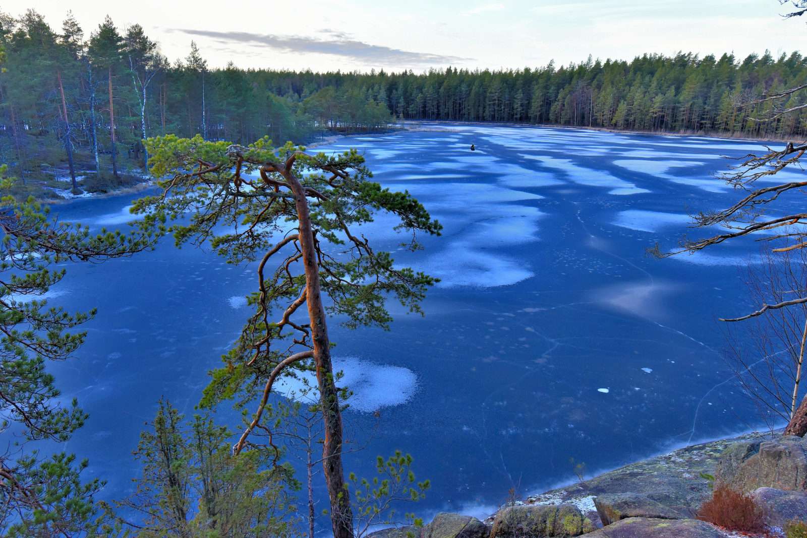 Valokuvaaja: Reijo Juurinen