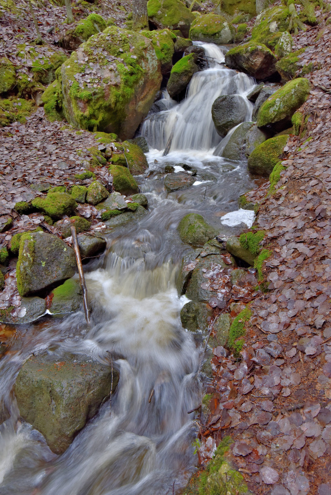 Valokuvaaja: Reijo Juurinen