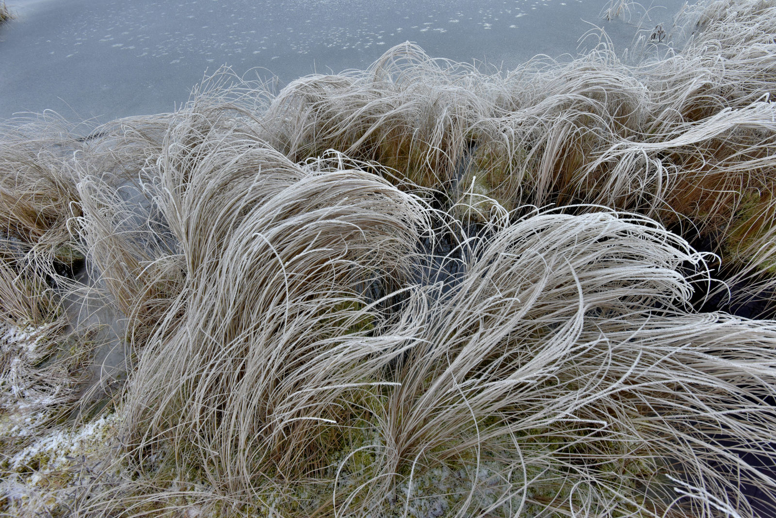 Valokuvaaja: Reijo Juurinen